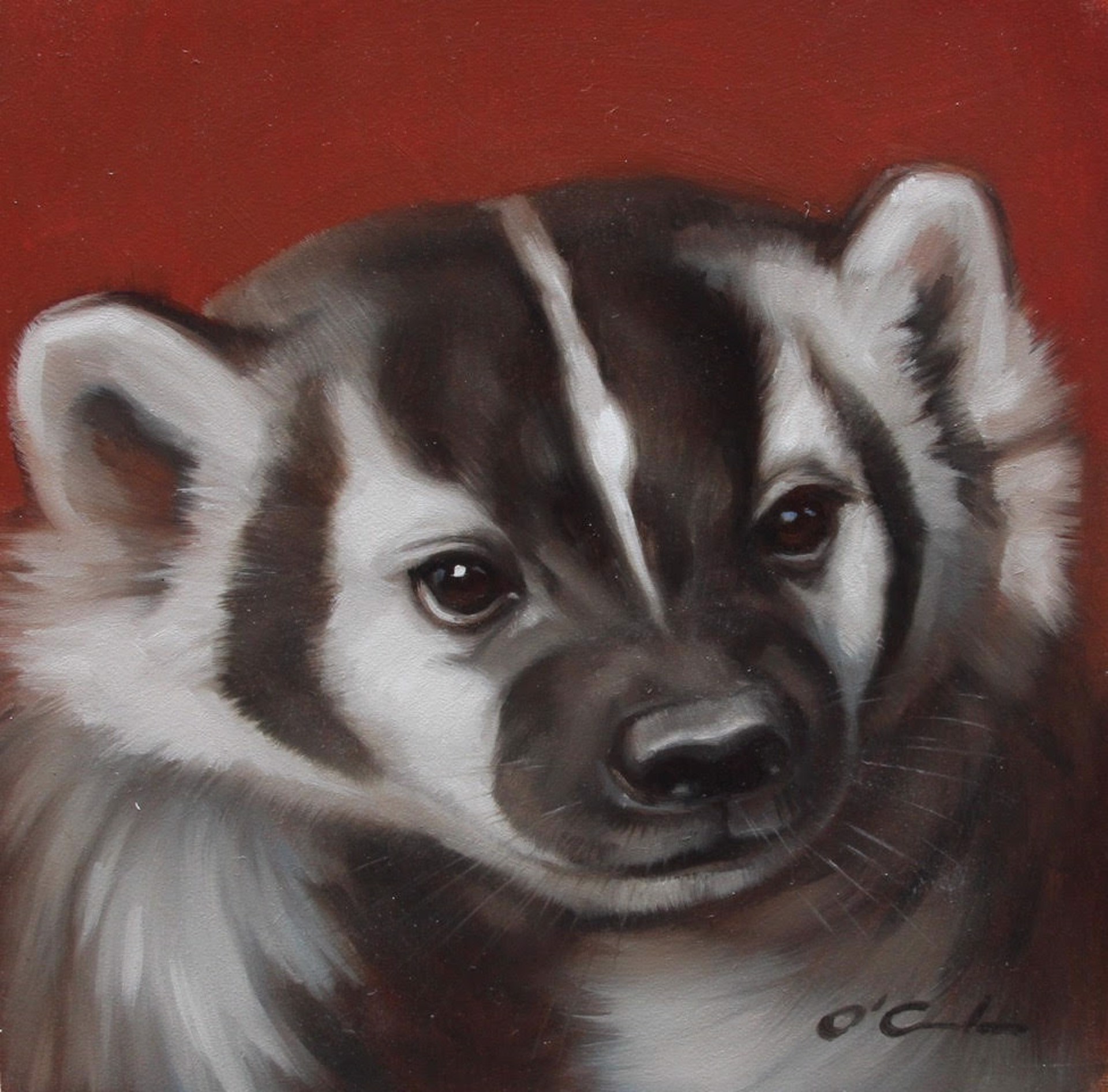 Badger On Red by Jennifer O'Cualain