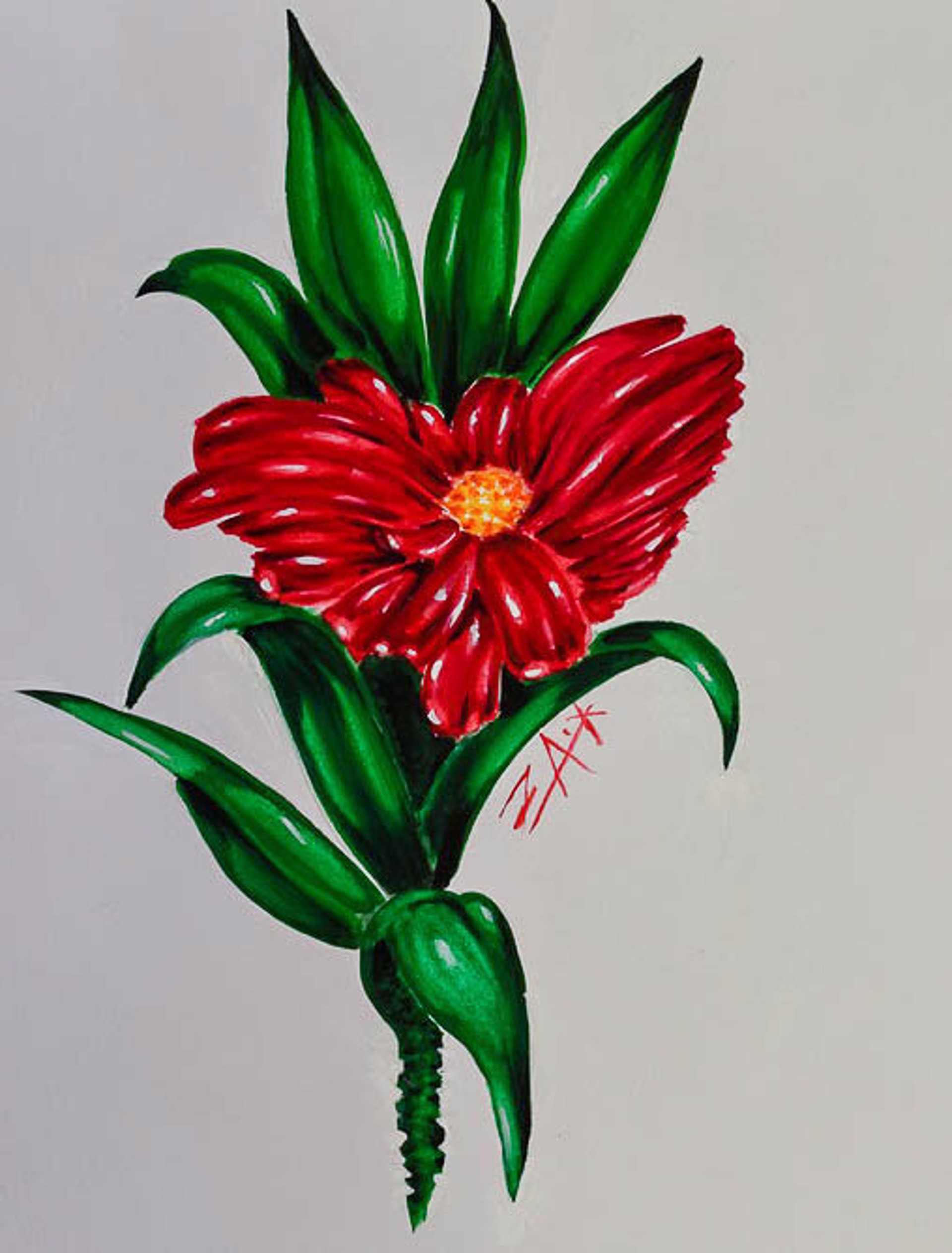 Delightful Dendrobium by Zach Arvieux