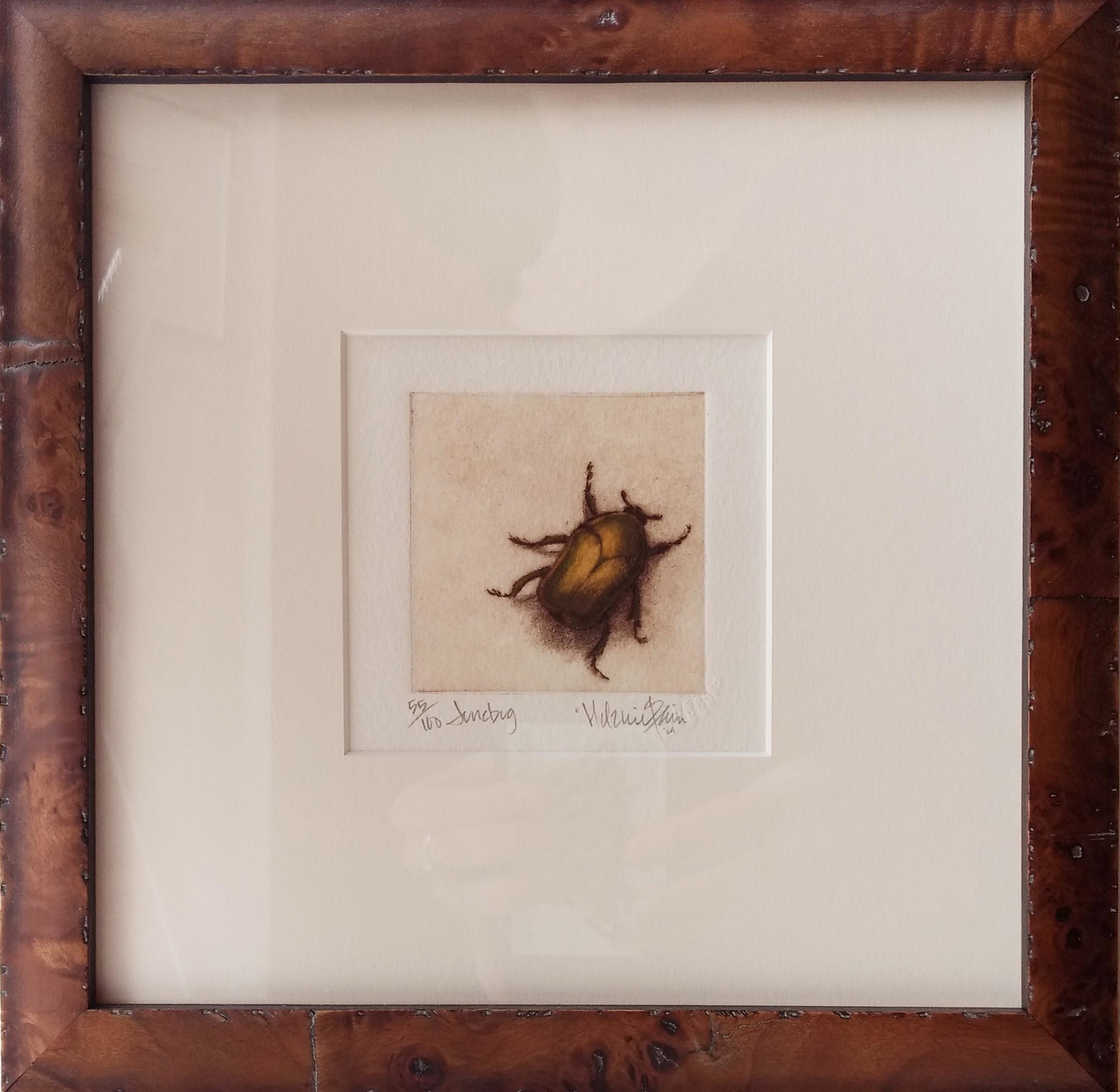 Junebug_framed, #55/100 by Melanie Fain
