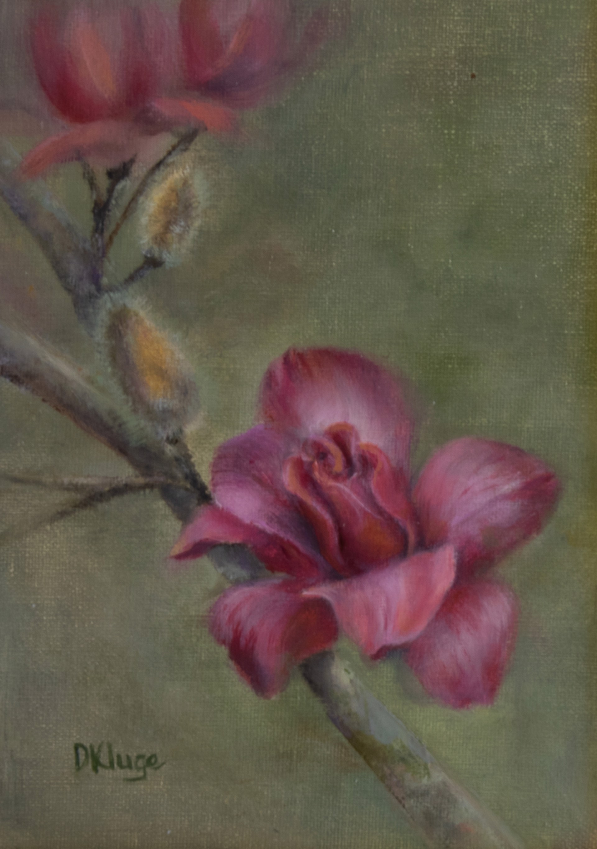 Magnolia Blossom by Debbie Kluge