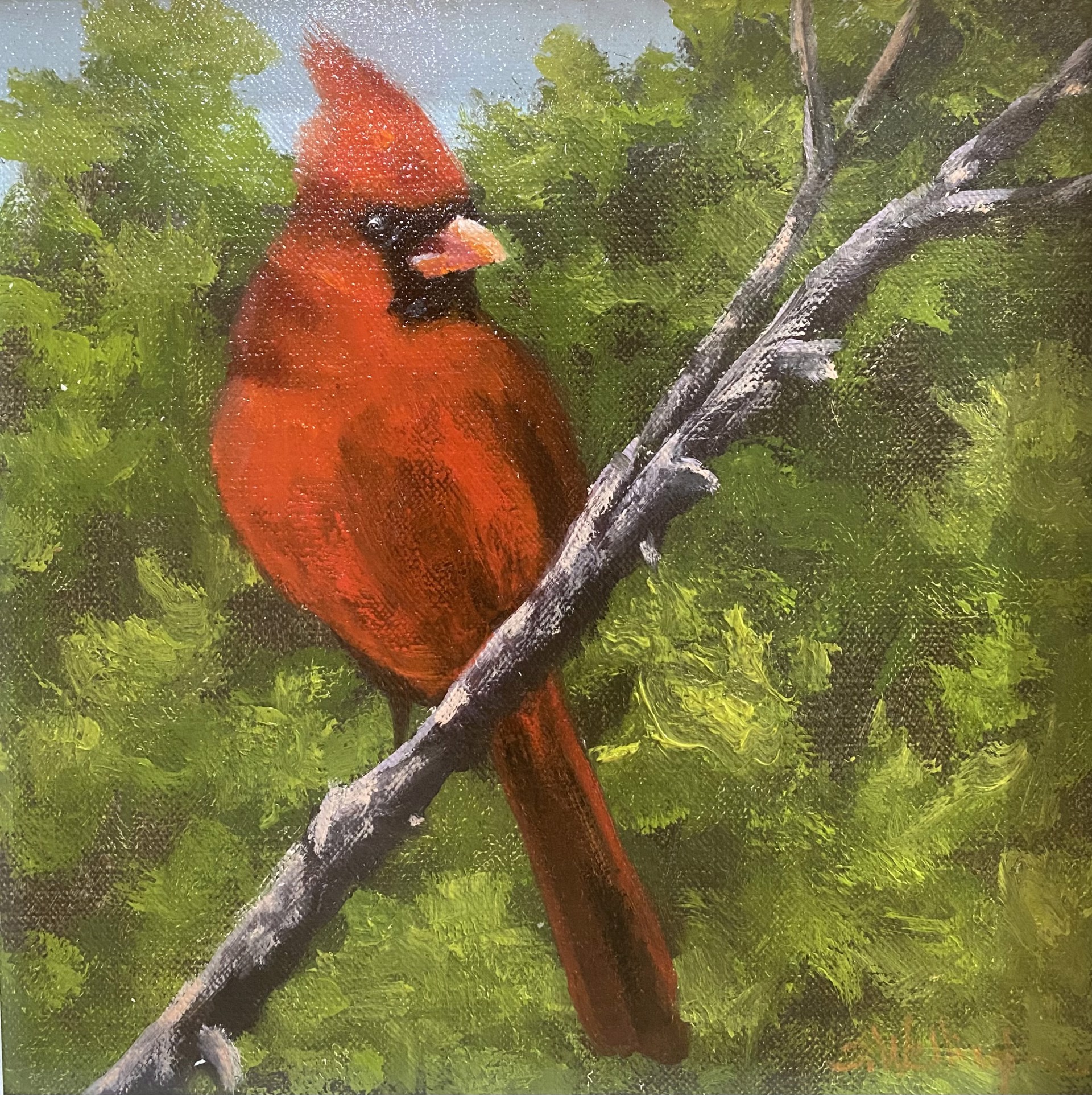 The Red Cardinal by Susan Wellington