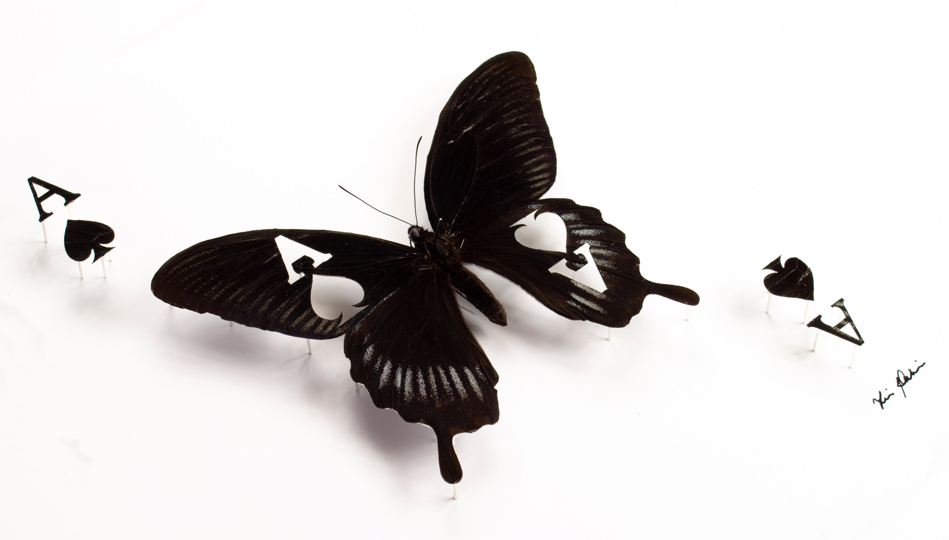 Chance 1 by Fiona Parkinson