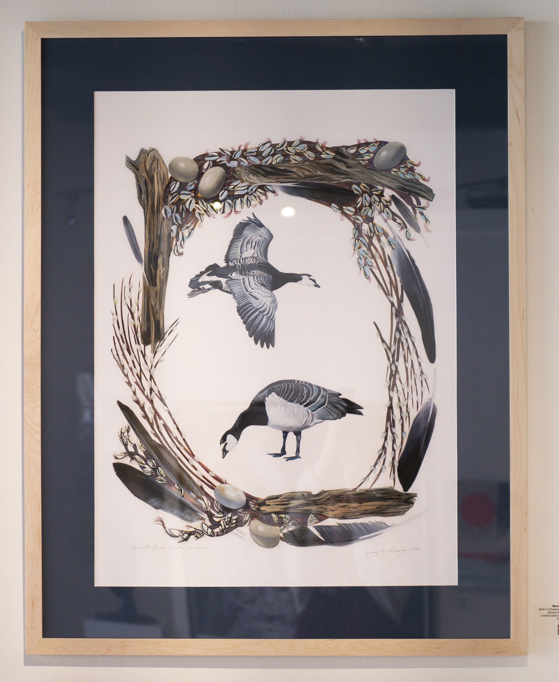 Birds of Shakespeare: Barnacle Goose (Branta leucopsis) by Missy Dunaway