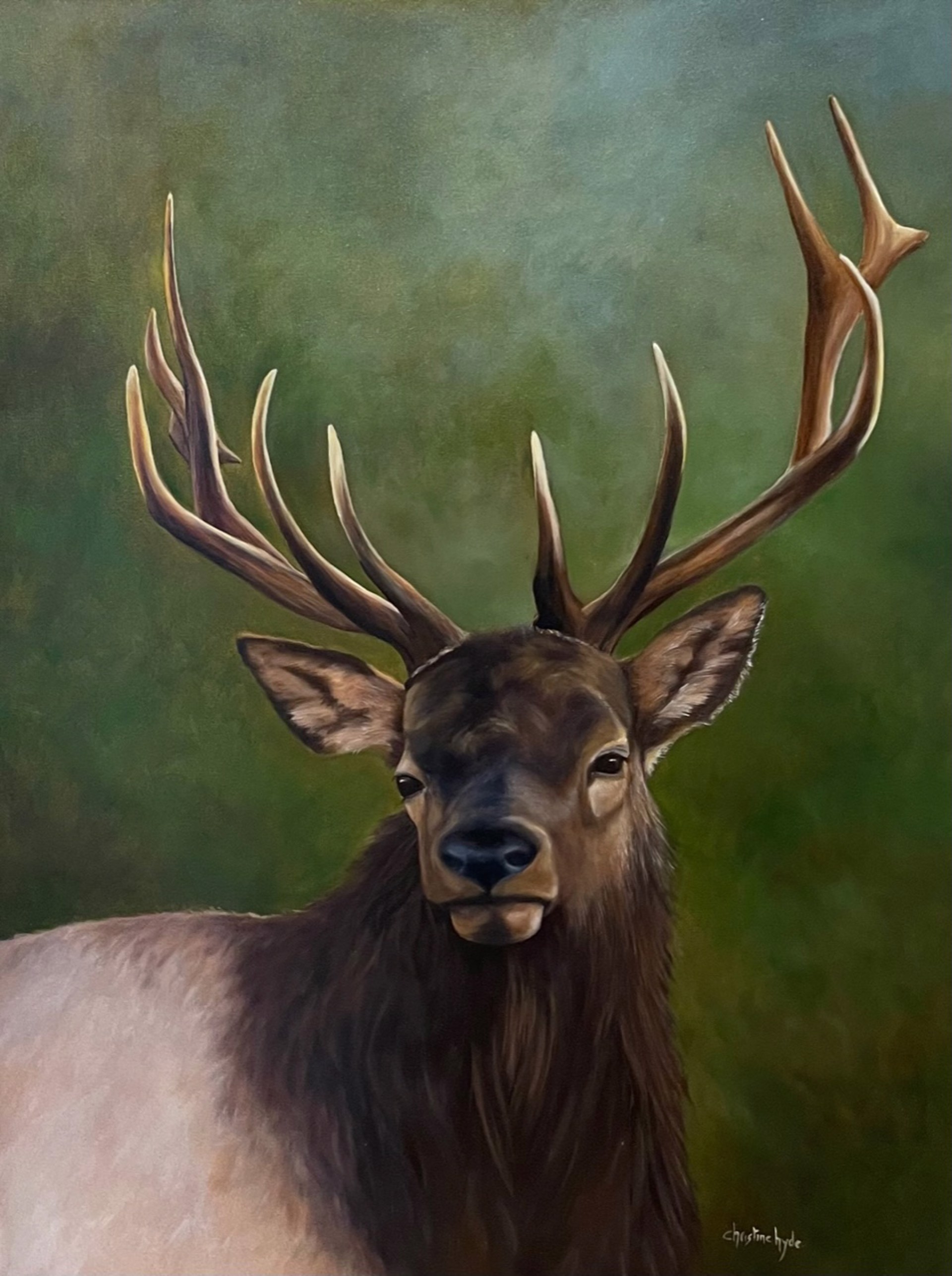 Majestic Elk by Christine Hyde