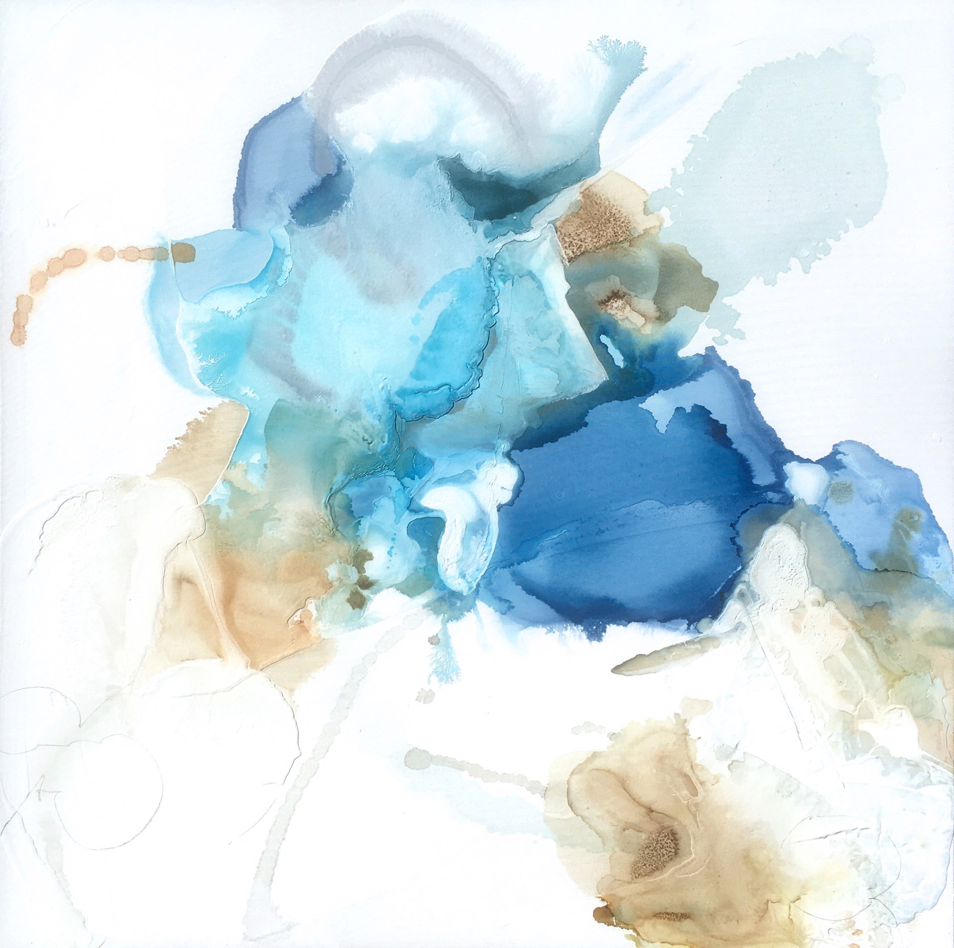 Blue Petals 16 by Liz Barber