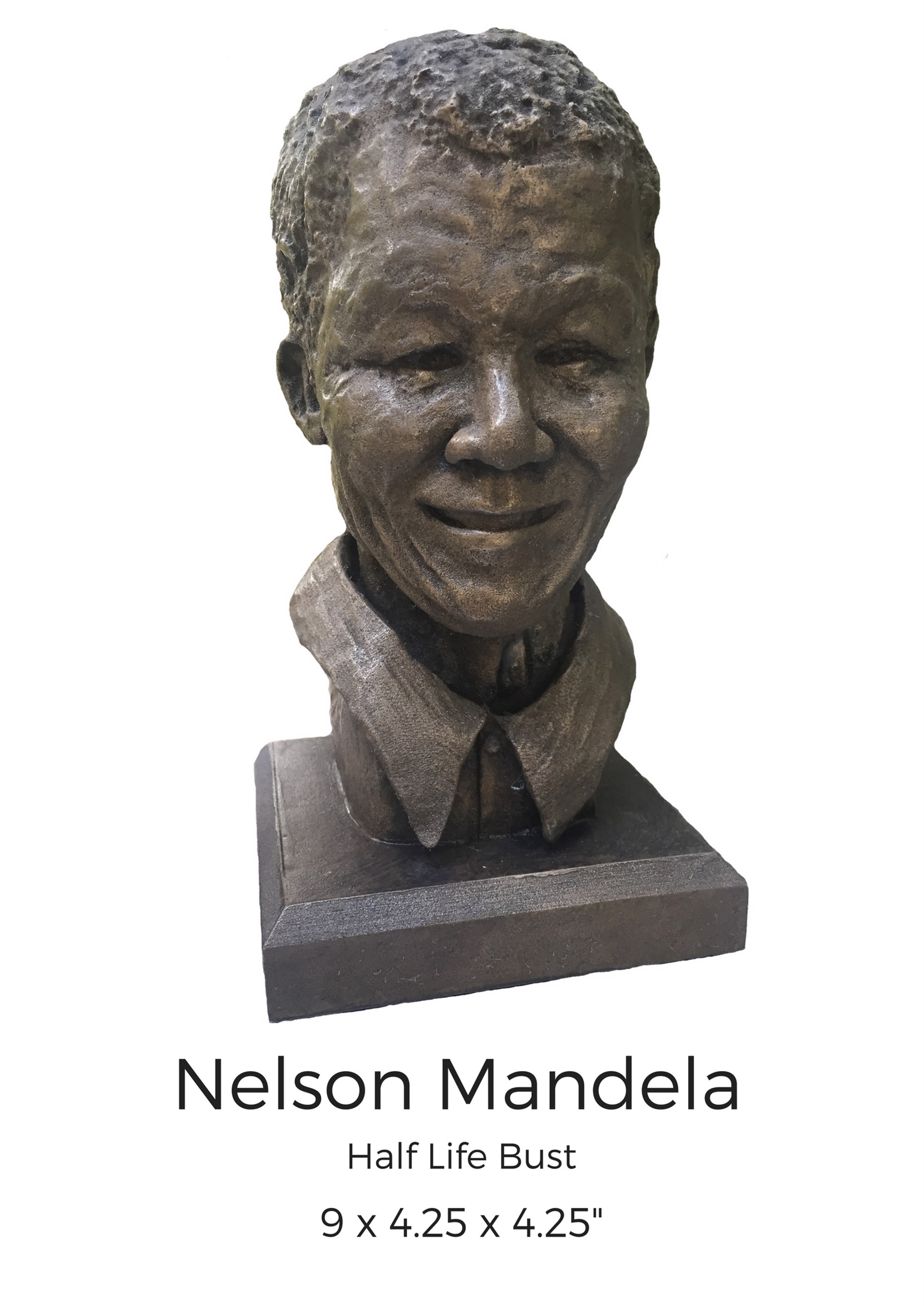 Mandela (Large) by Paula Stern