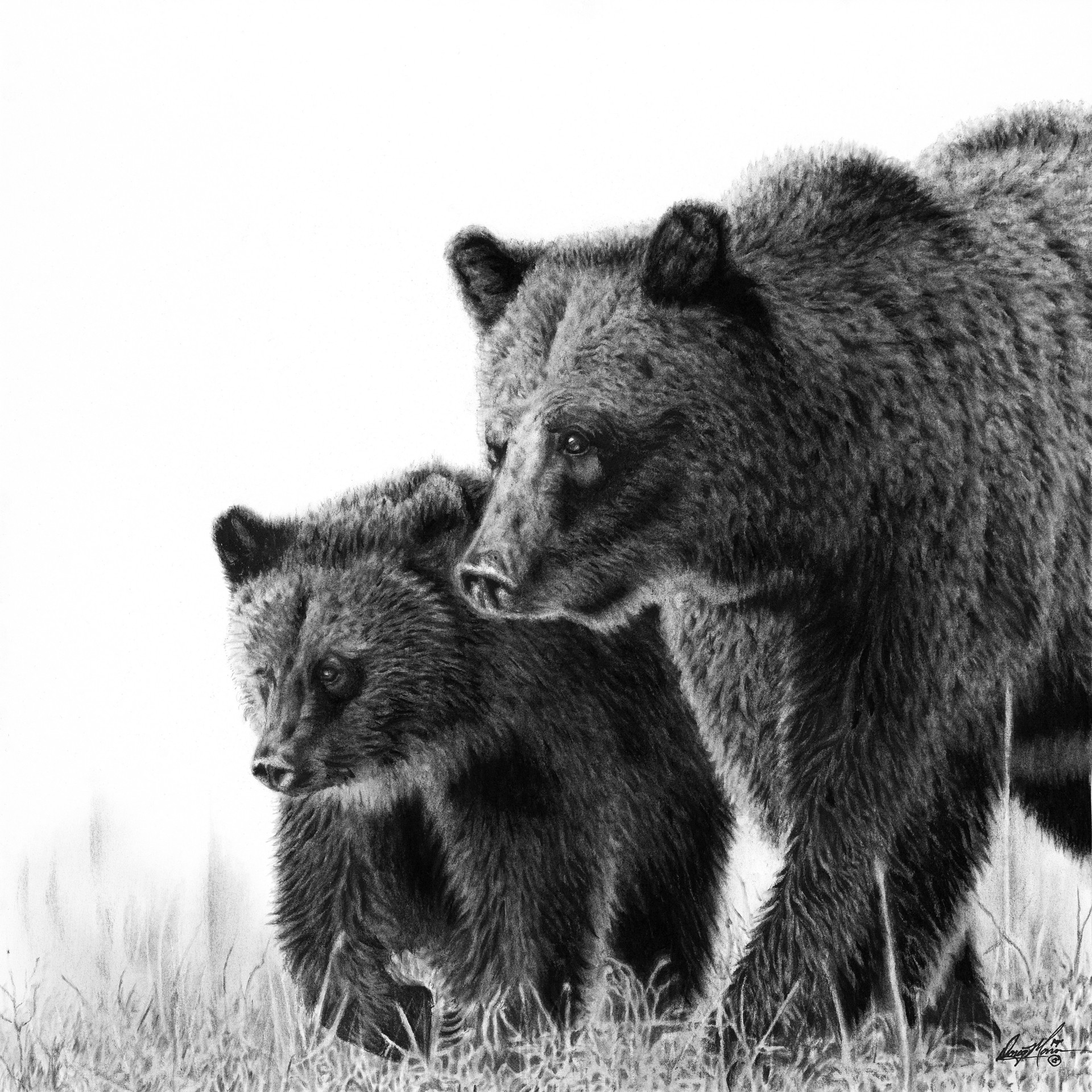 Two Bears by Doug Monson