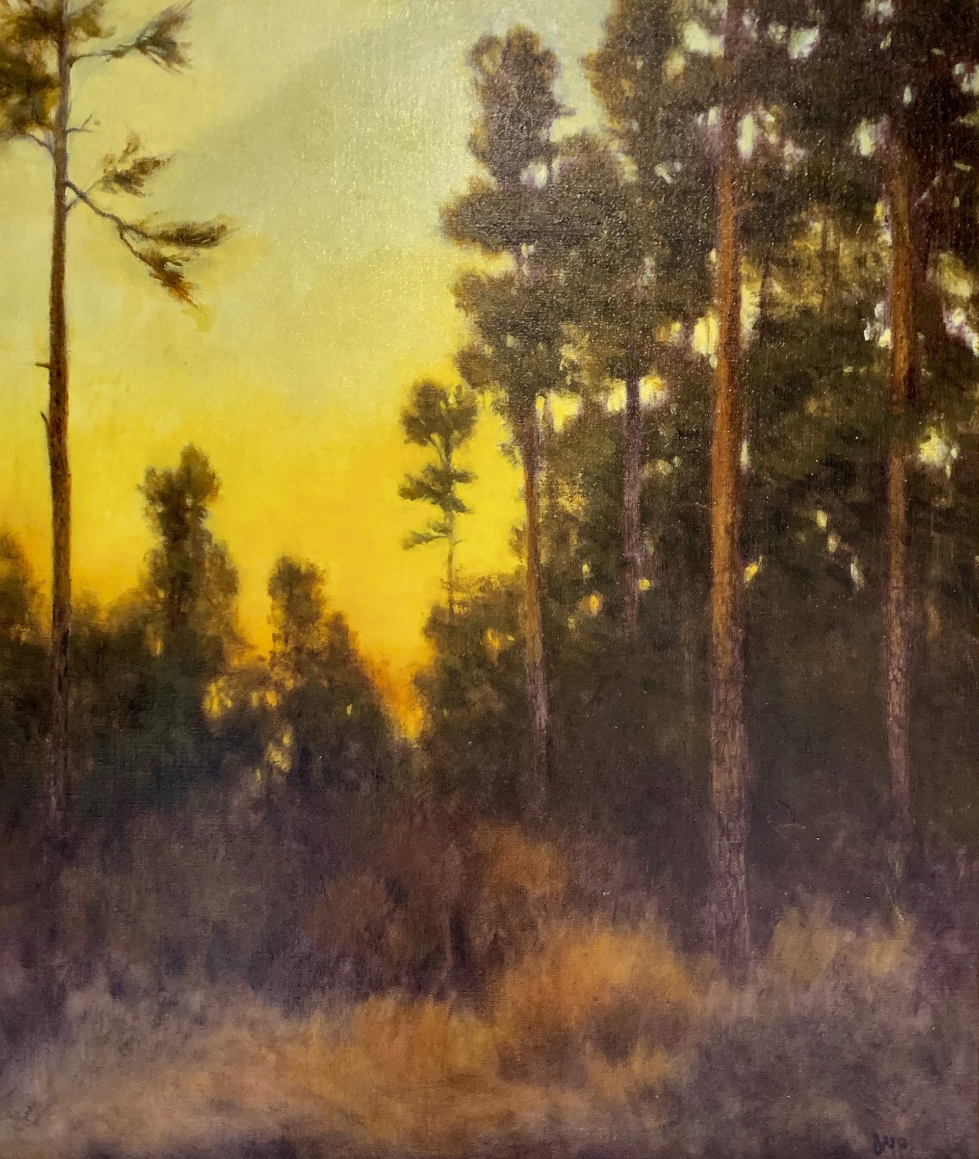 In the Pines by Deborah Paris