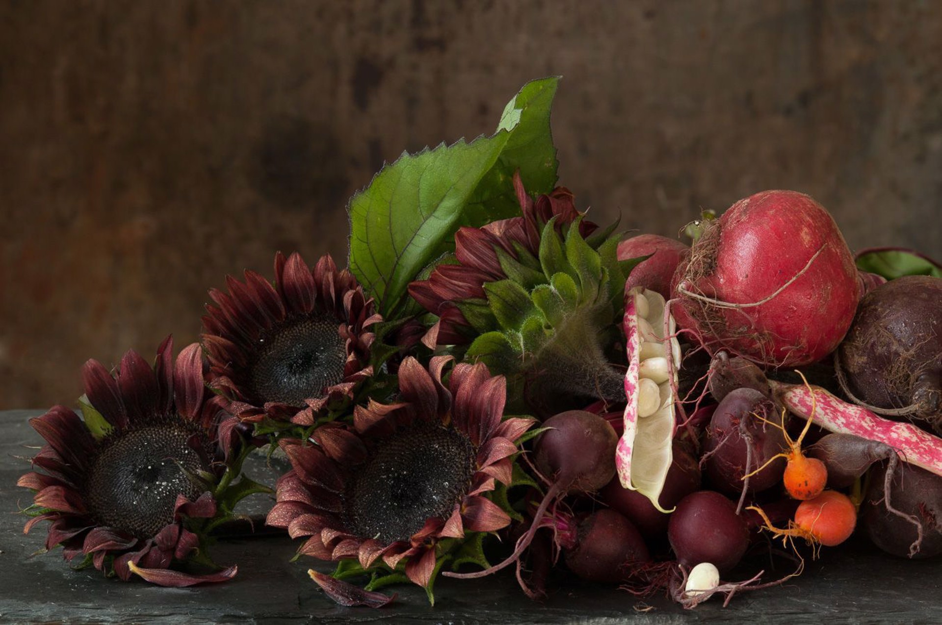 Sunflowers, Beets and Bean Still Life by Lynn Karlin