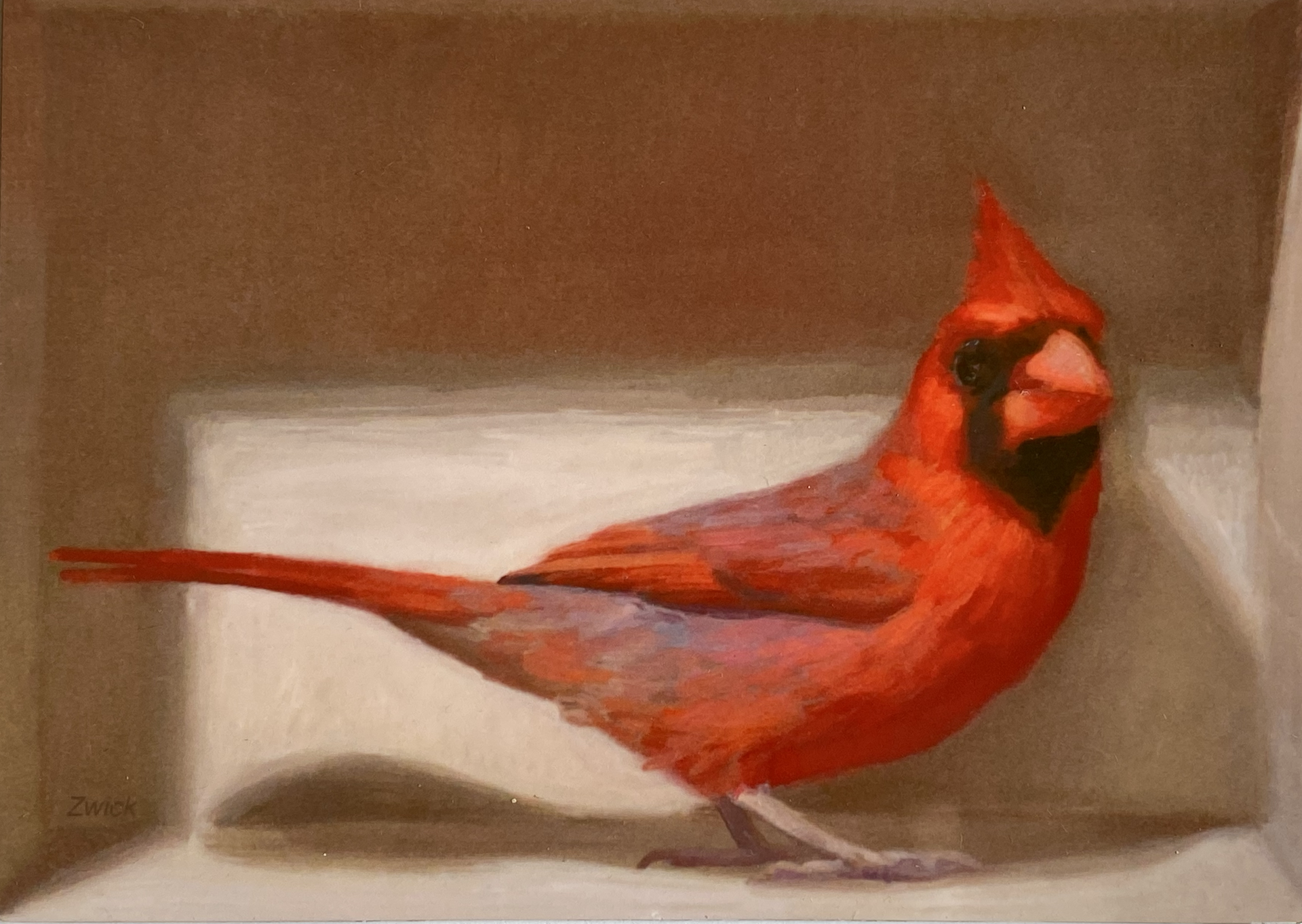 Cardinal in a Box by William Zwick
