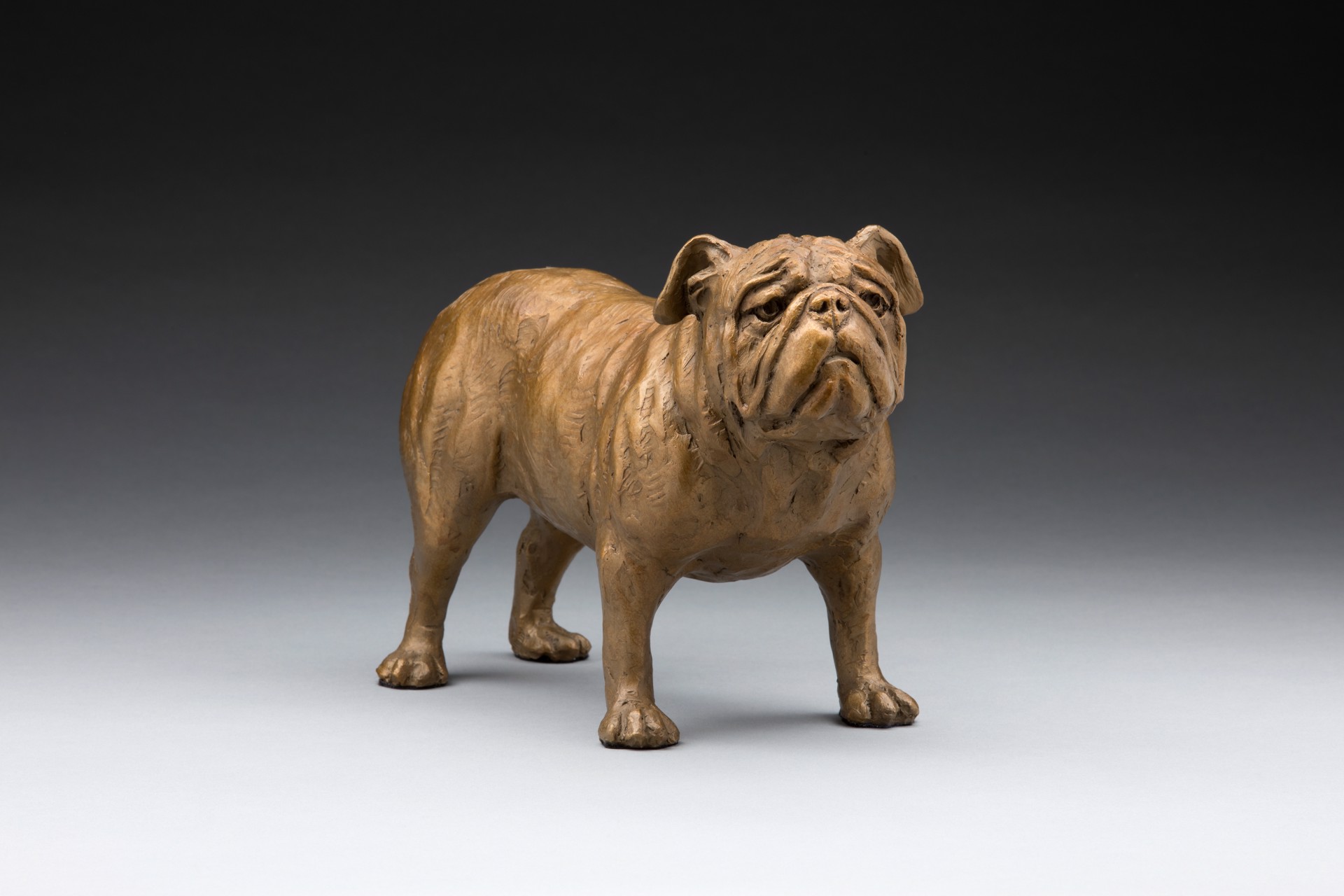 Mr. Personality  English Bulldog (Ed. of 30) by Daniel Glanz (sculptor)