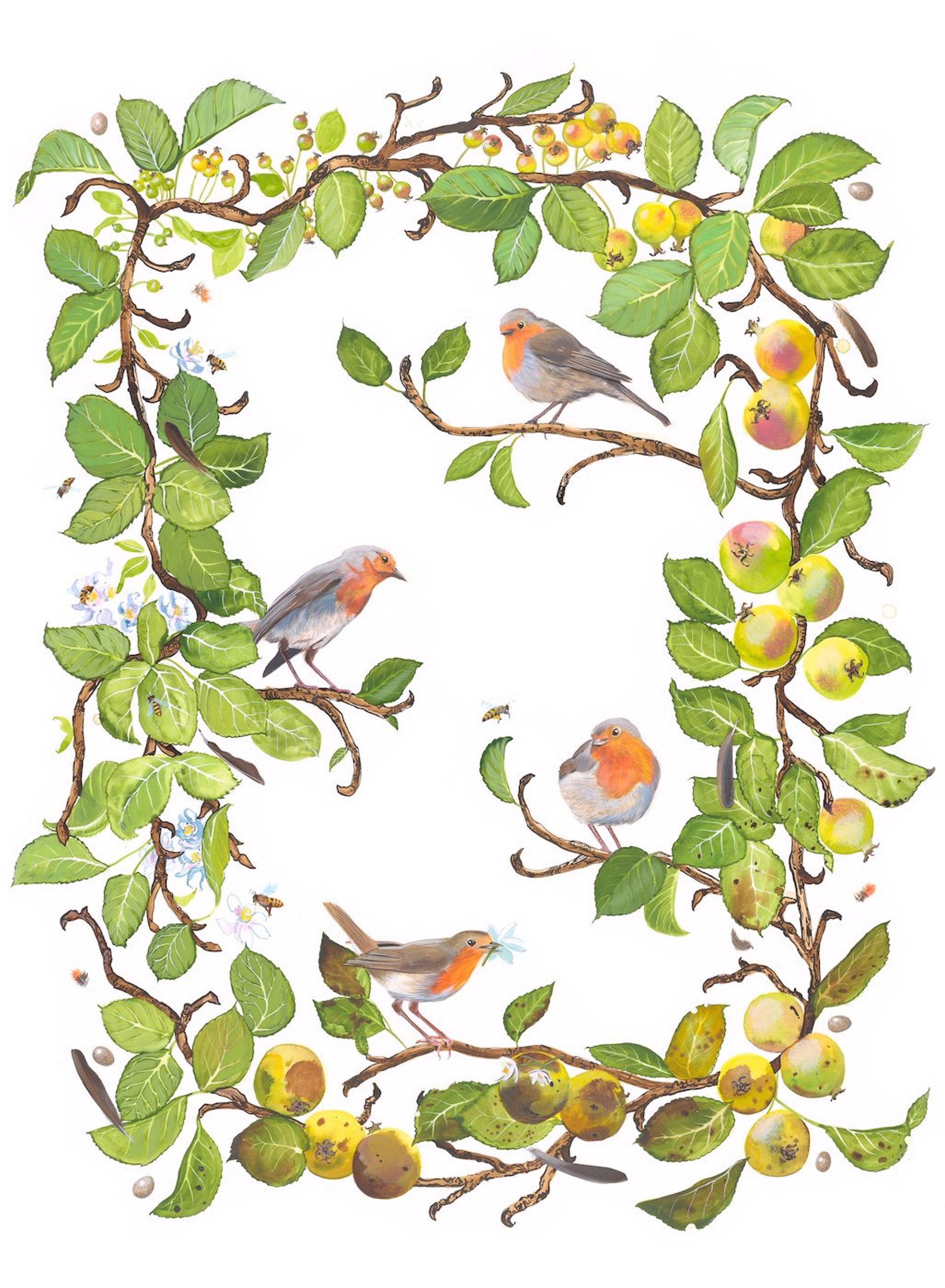 Birds of Shakespeare: European Robin by Missy Dunaway