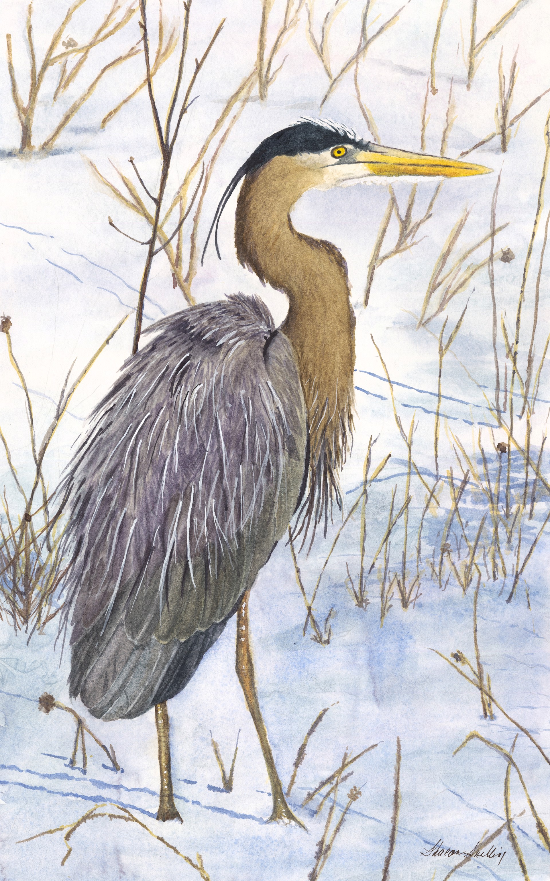 Winter Heron by Sharon Snelling