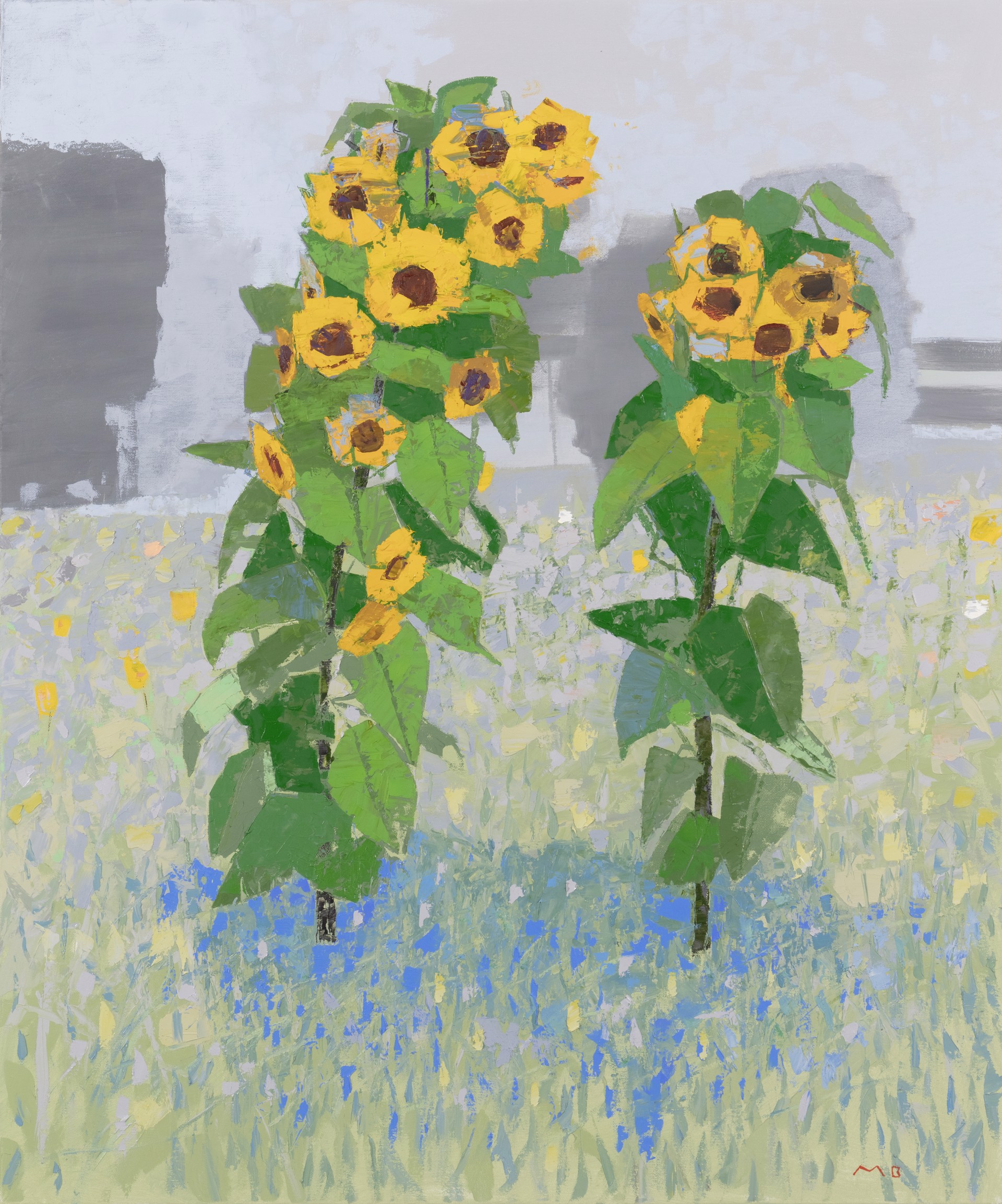 Sunflowers by Mac Ball