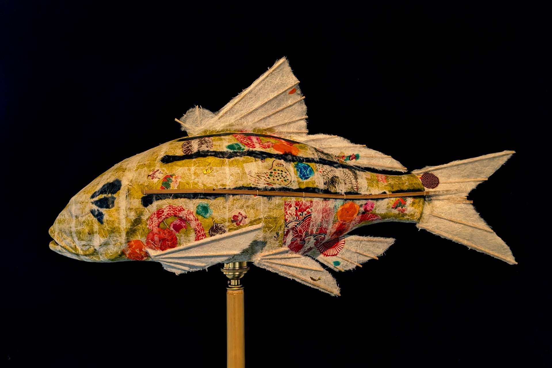 Tawny Moon Bass by Elaine Hanowell