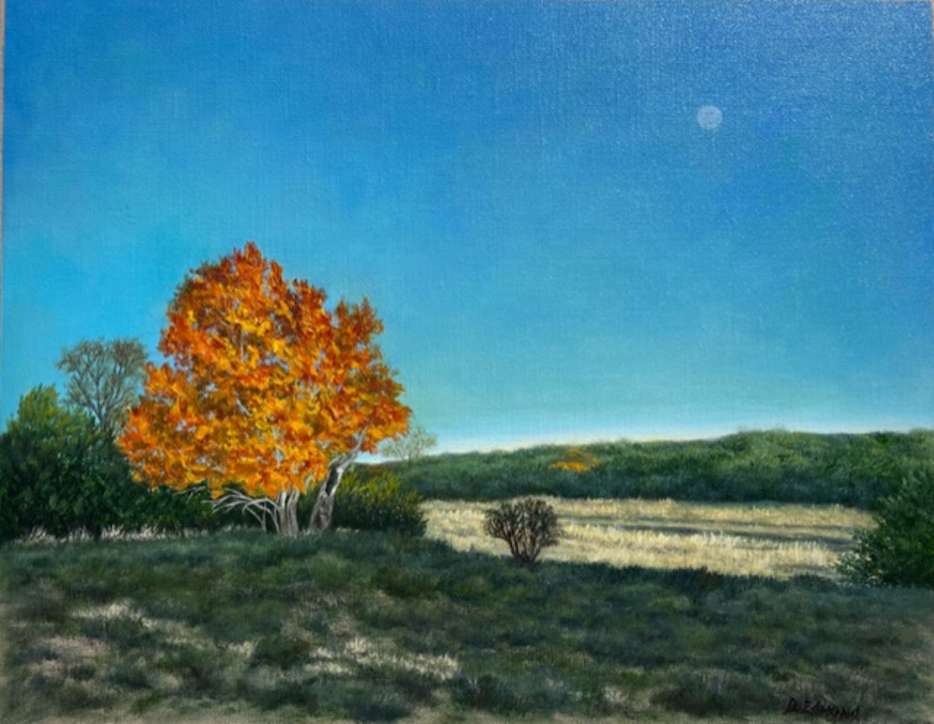 Texas Red Oak by Betty Edmond