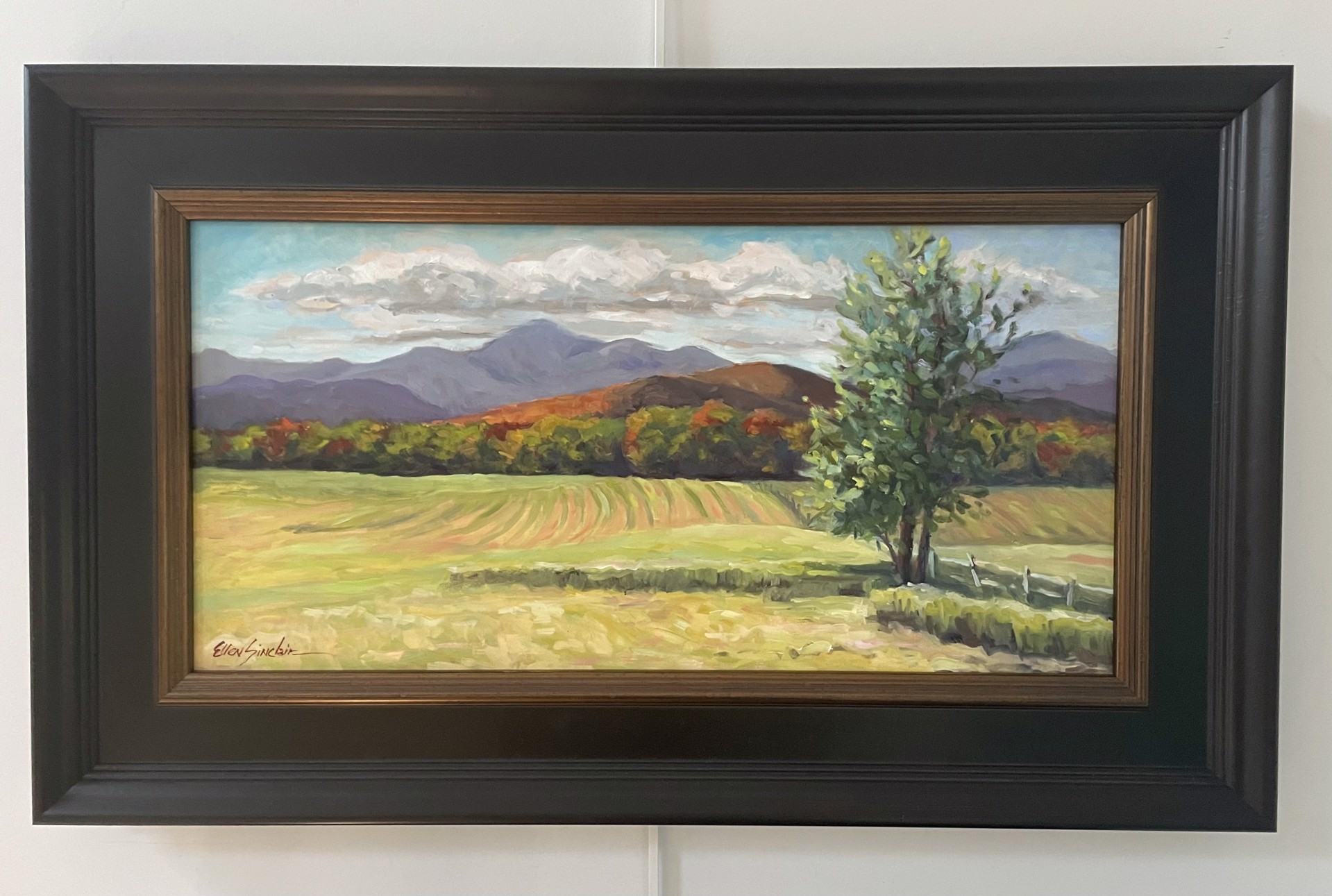 Fall Color by Ellen Sinclair