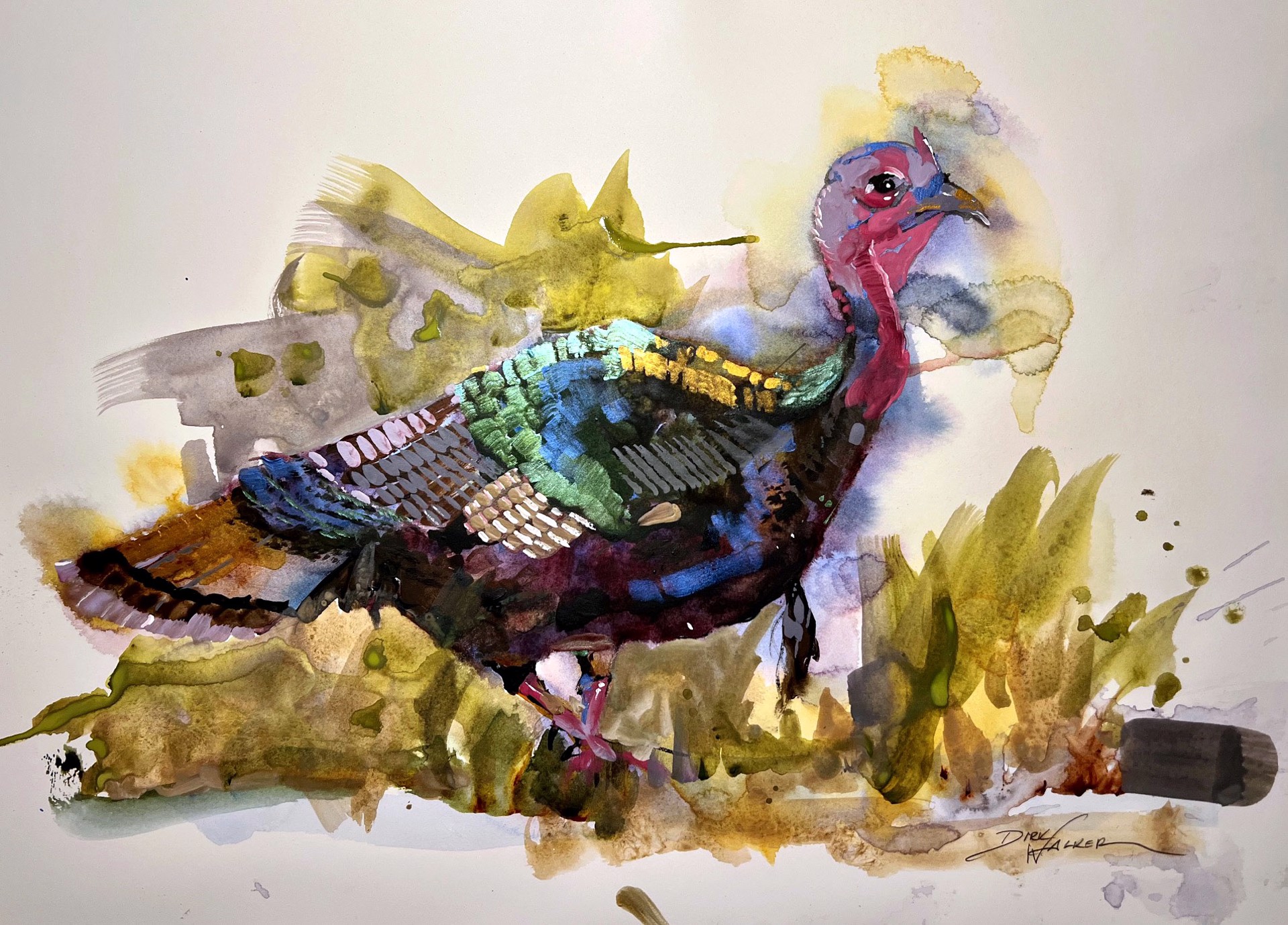 Young Eastern Wild Turkey by Dirk Walker
