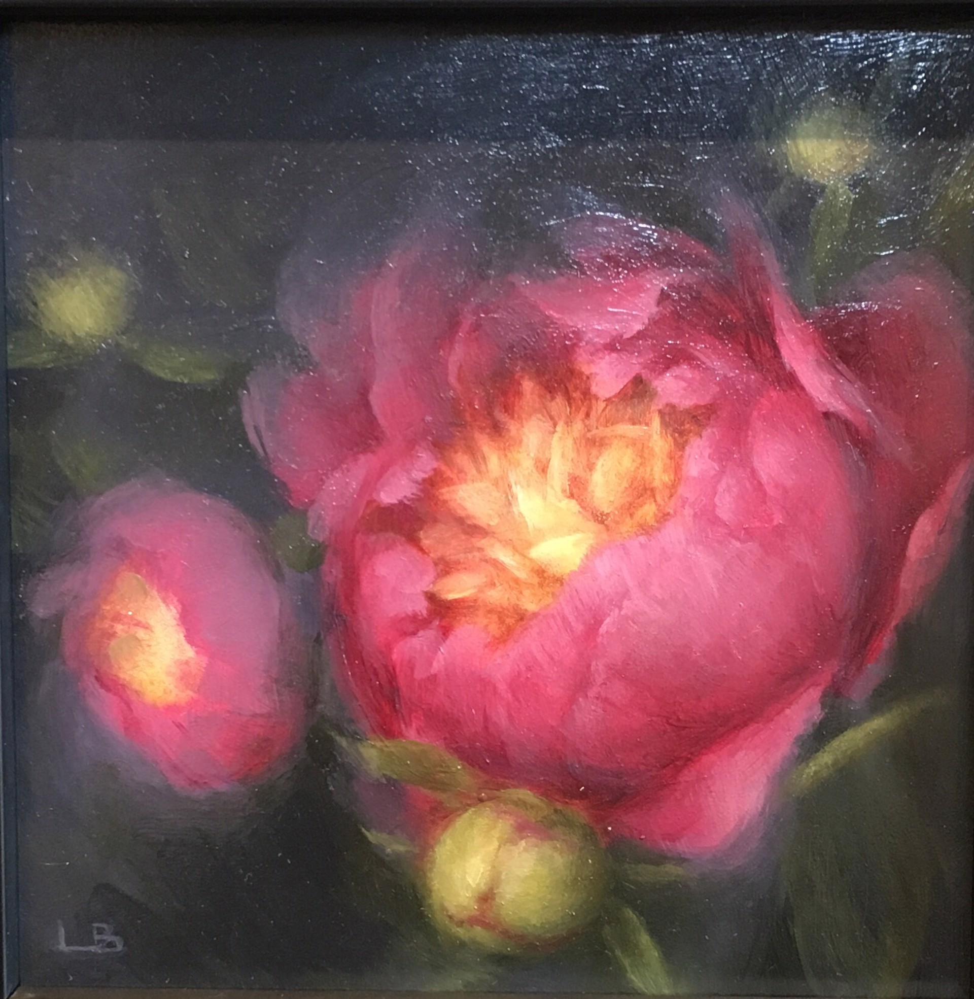 Garden Peony by Larisa Brechun