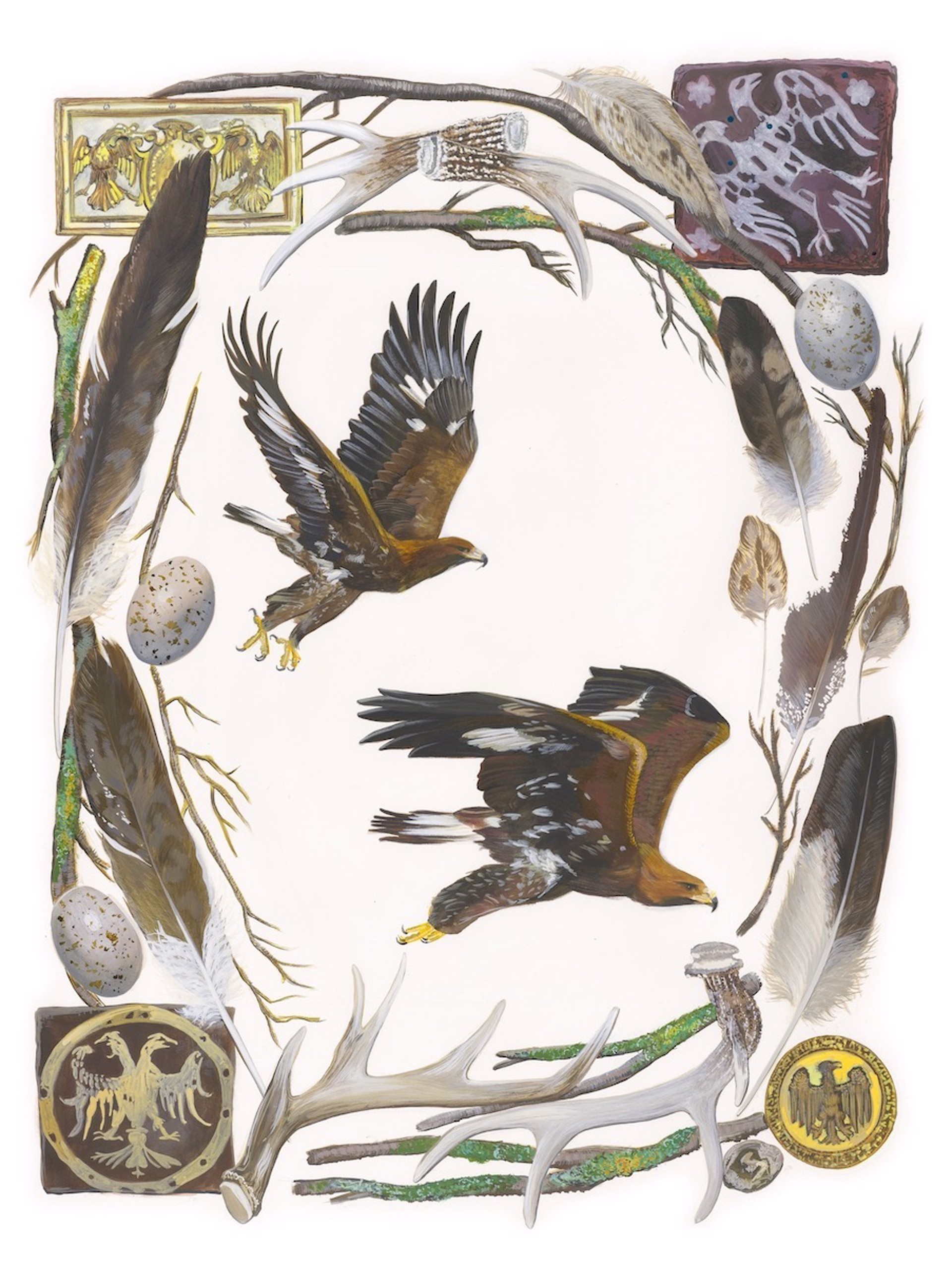 Birds of Shakespeare: Golden Eagle (Aquila chrysaetos) by Missy Dunaway