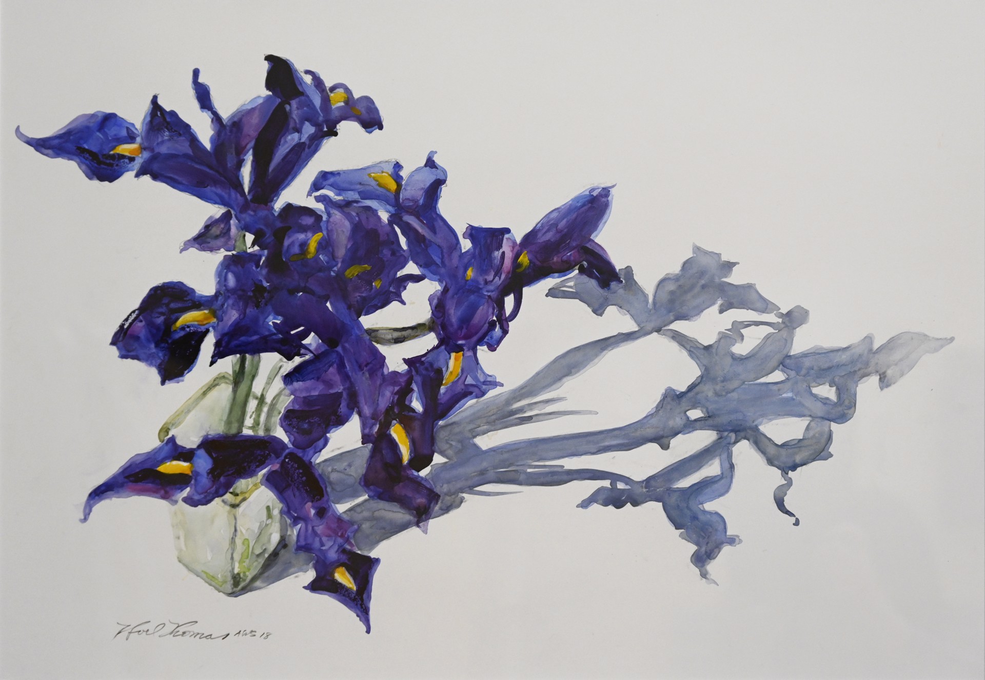 Irises by Noel Thomas