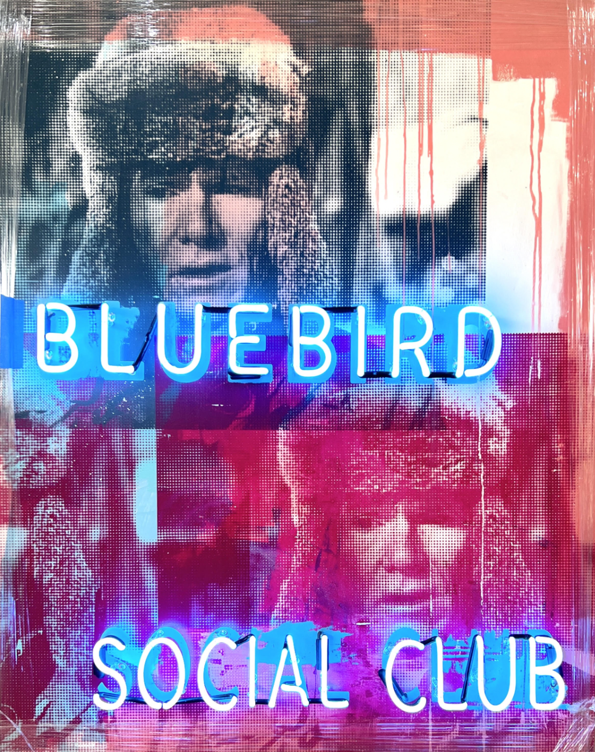 Blue Bird Social Club by Miles Glynn