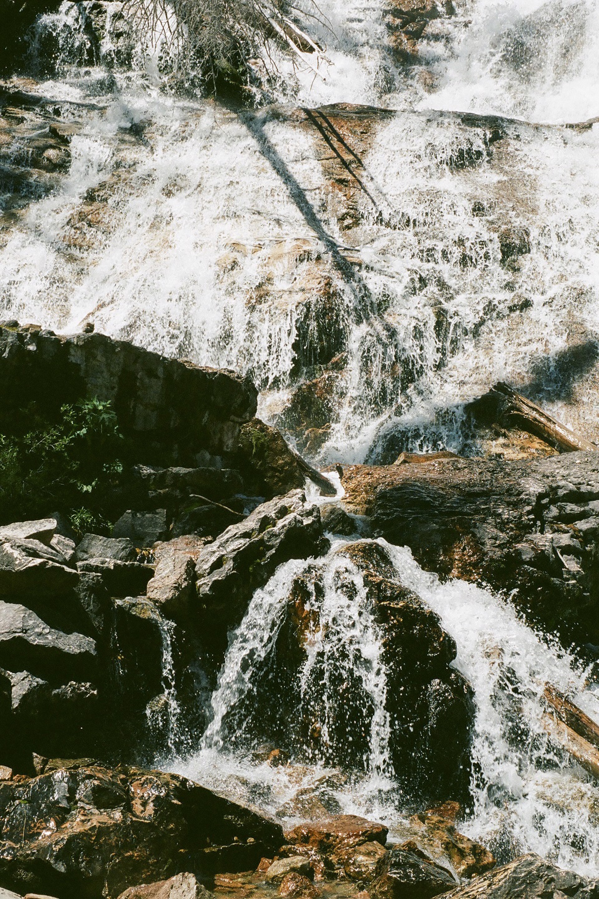 Skalkaho Falls Abstracted by Teysha Vinson