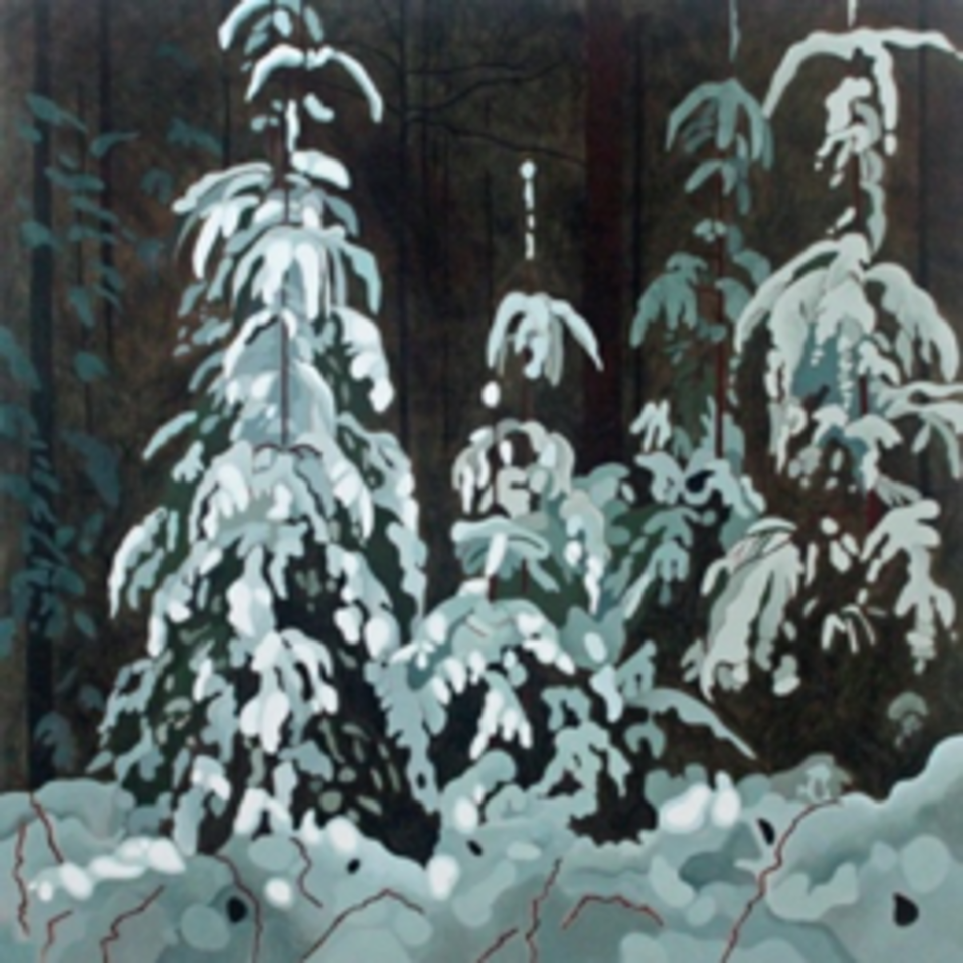 Snow Covered Spruce by Leanne Baird