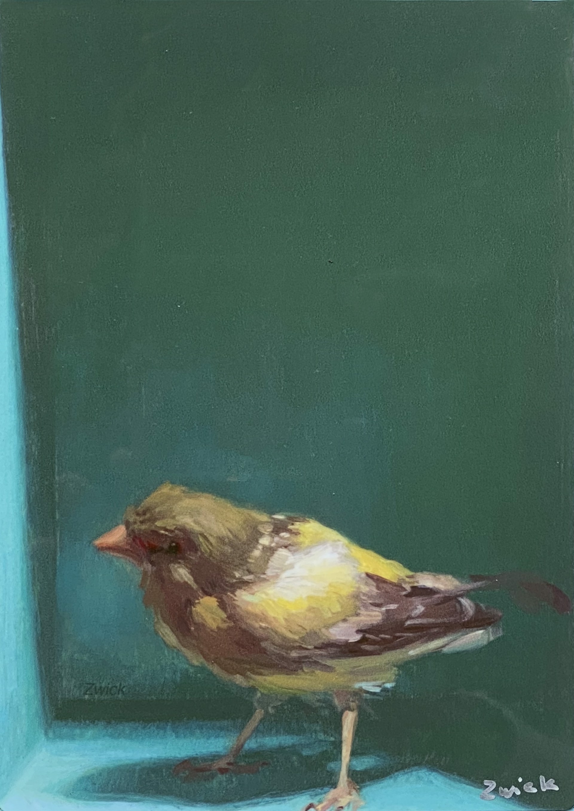 Finch in a Box by William Zwick