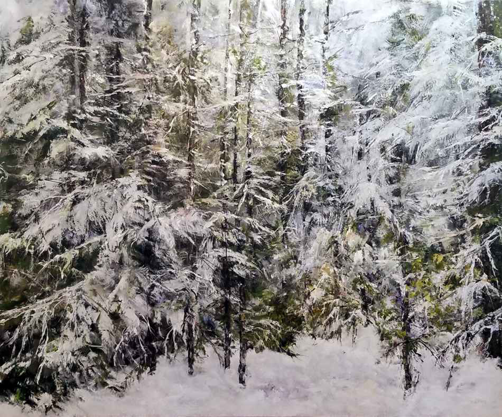 Snow Forest by Judy Cheng