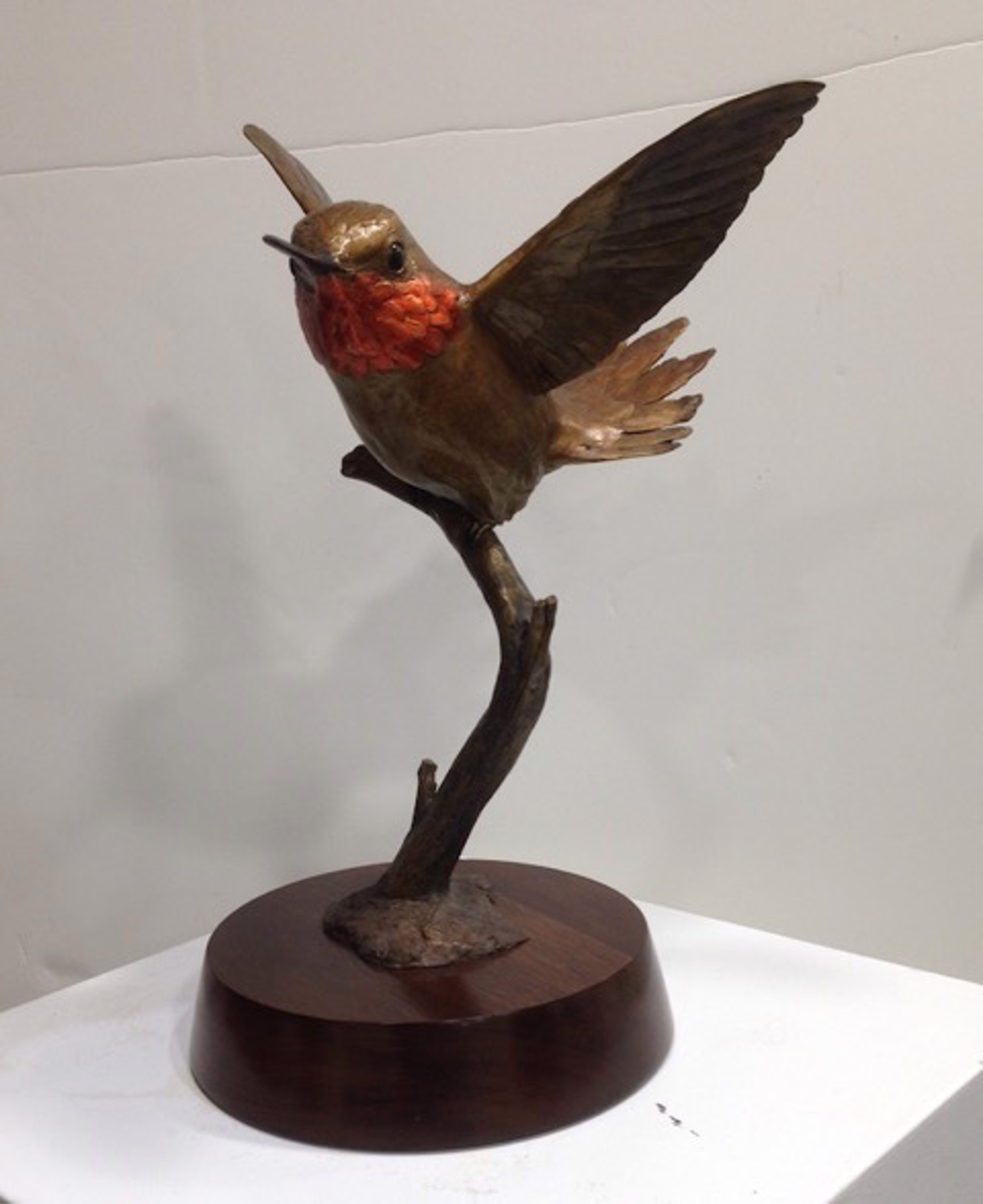 Rufous - Hummingbird by Tom Hjorleifson