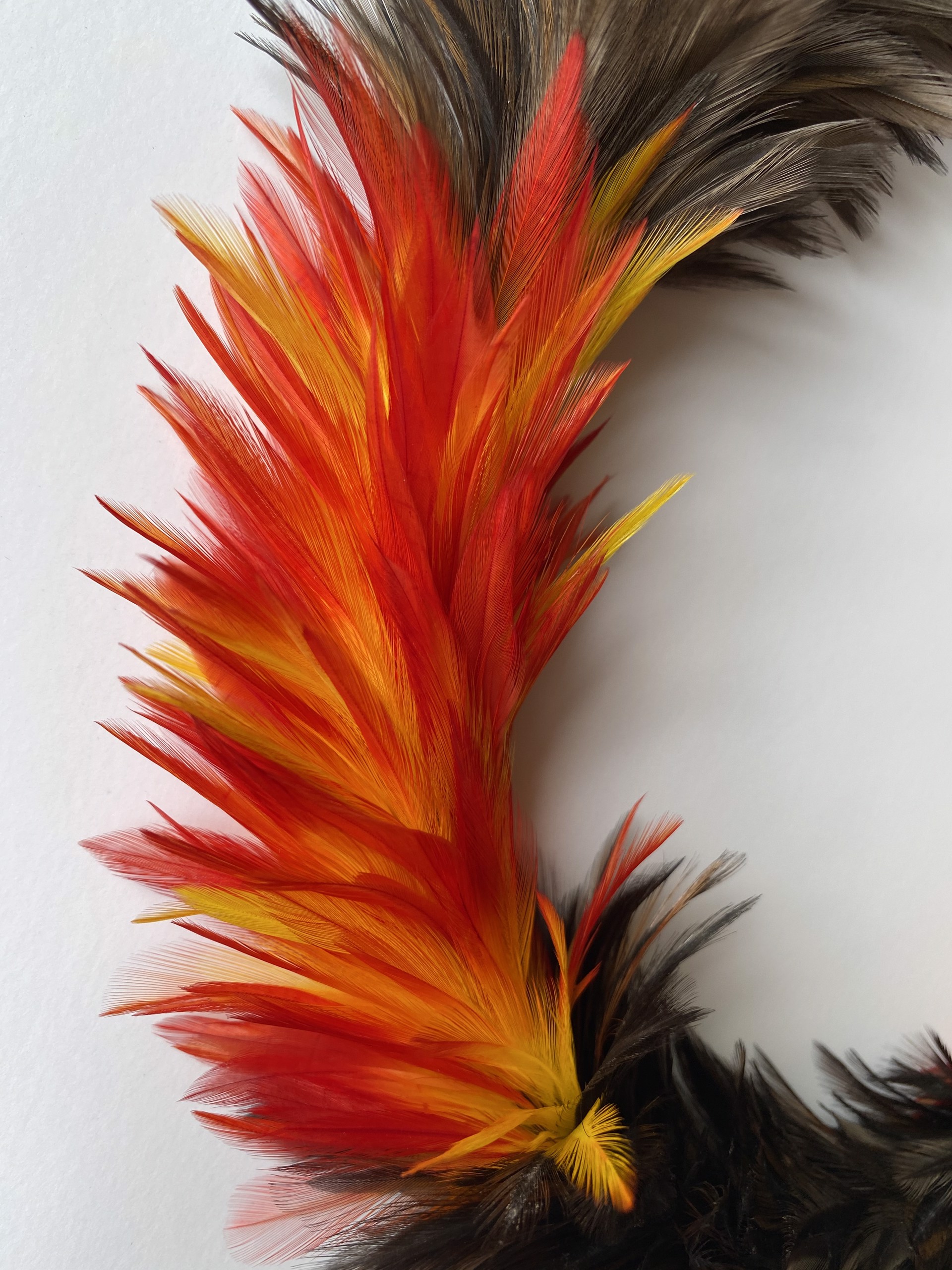 Handmade Hawaiian Feather Lei by Hanna Lillico