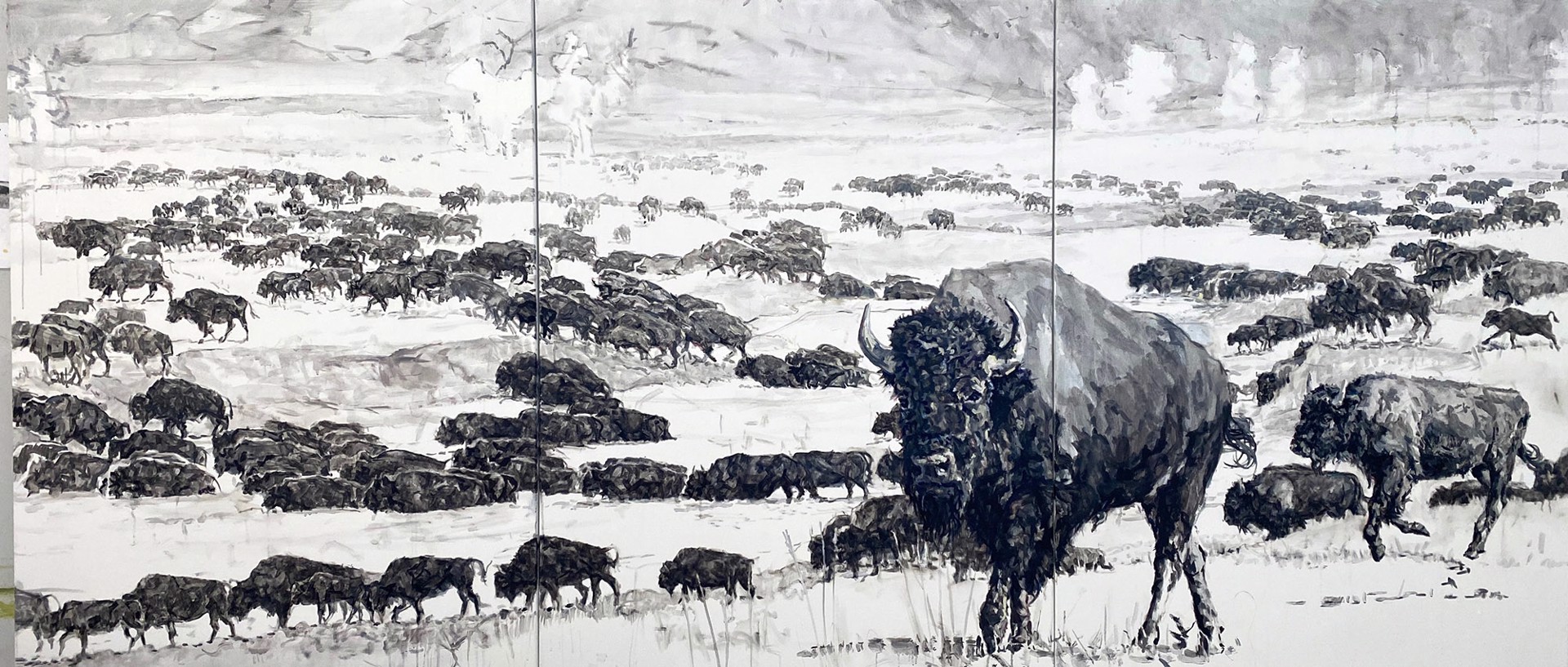 A Black And White Triptych Of A Herd Of Bison Crossing A River By Patricia A Griffin At Gallery Wild