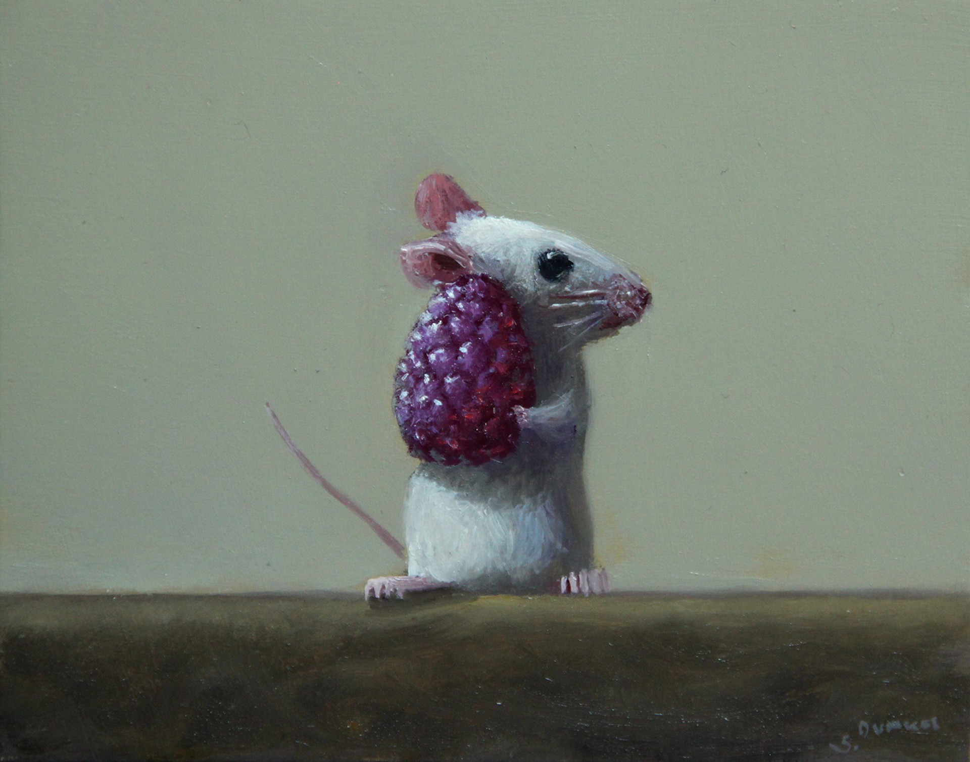 Raspberry Treat by Stuart Dunkel