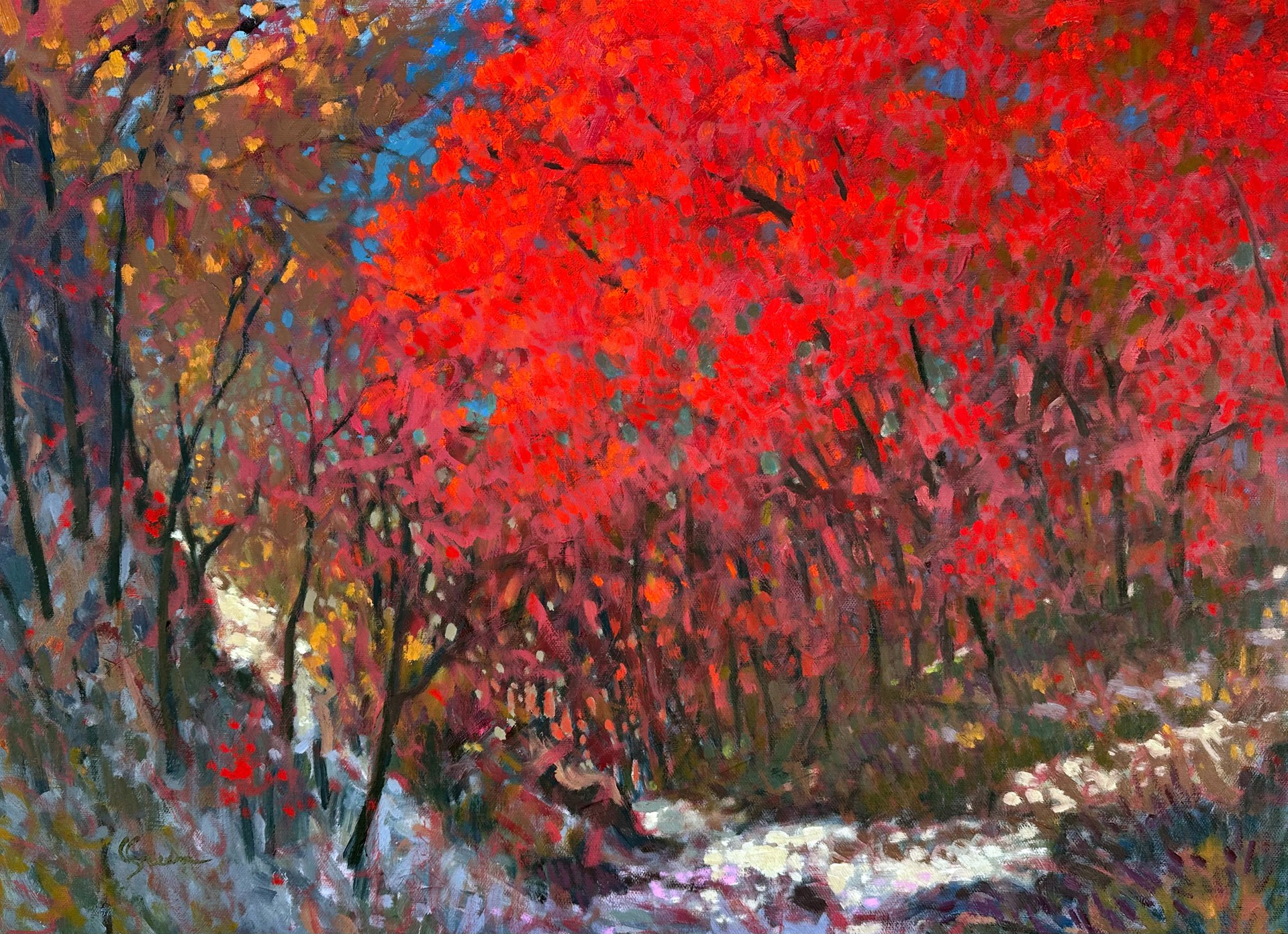 Maples Along the Trail by Kenneth Green