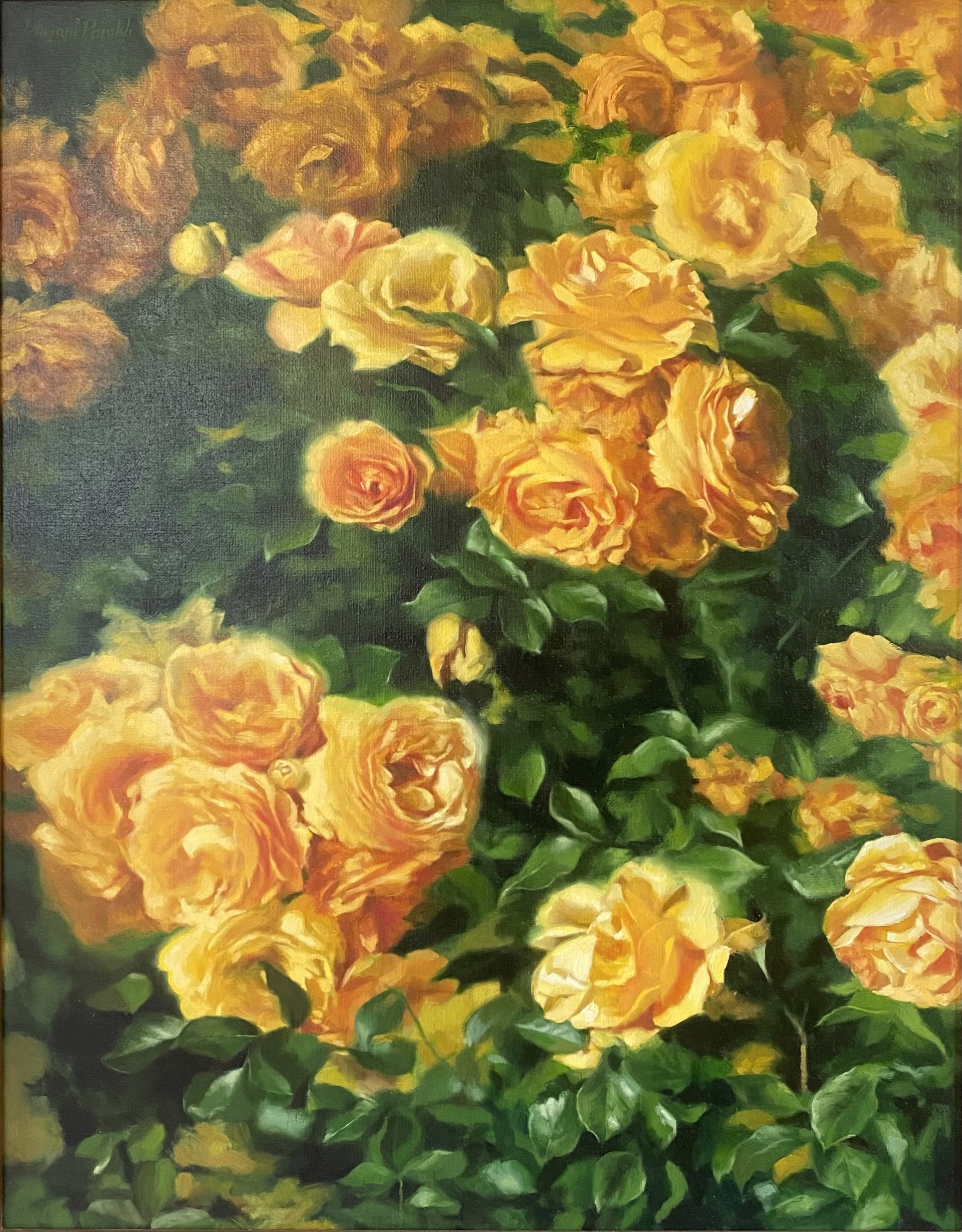 Yellow Roses by Dhwani Parekh