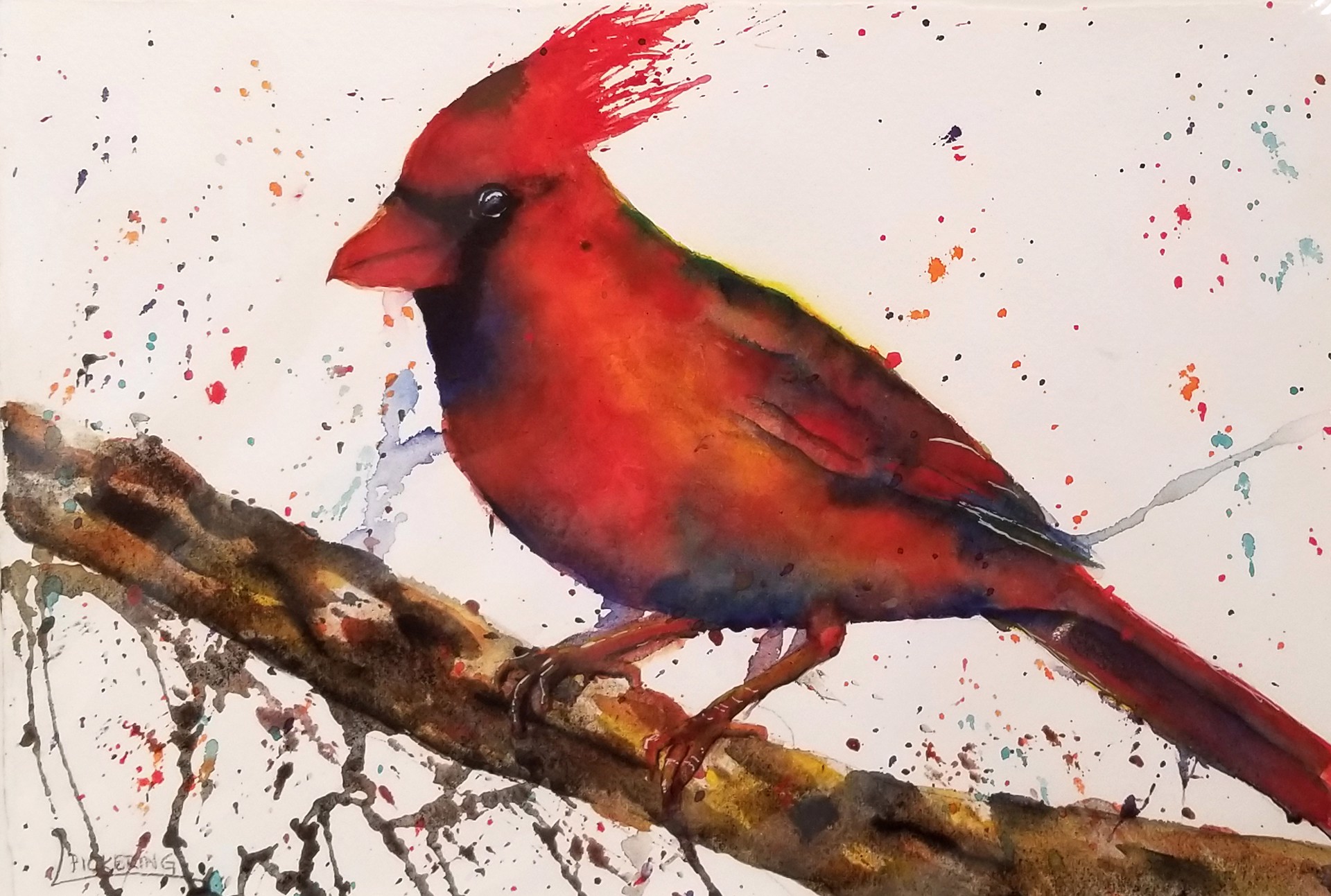Colorful Cardinal II by Laura Pickering
