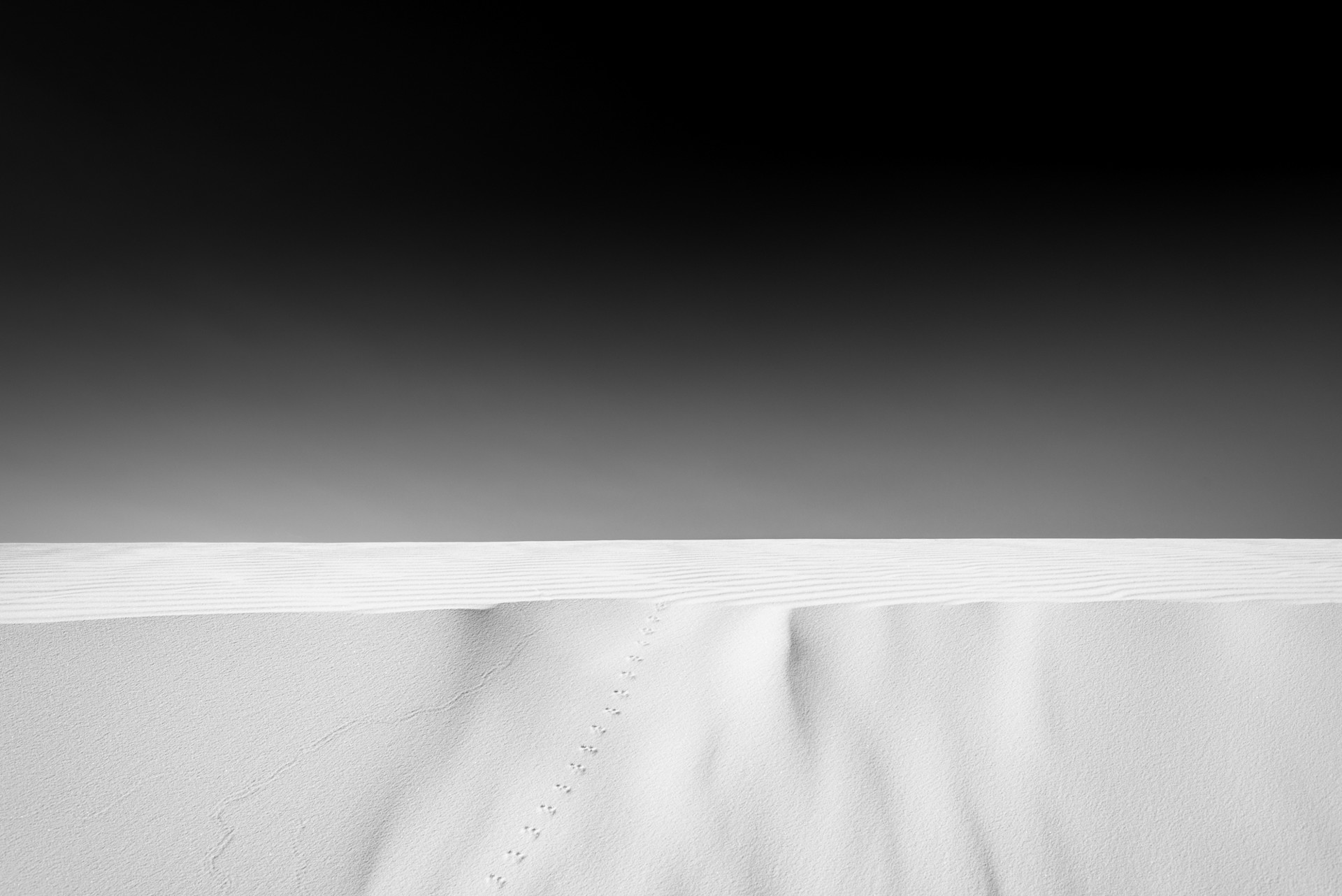 White Sands Tracks #1 by Thom Jackson