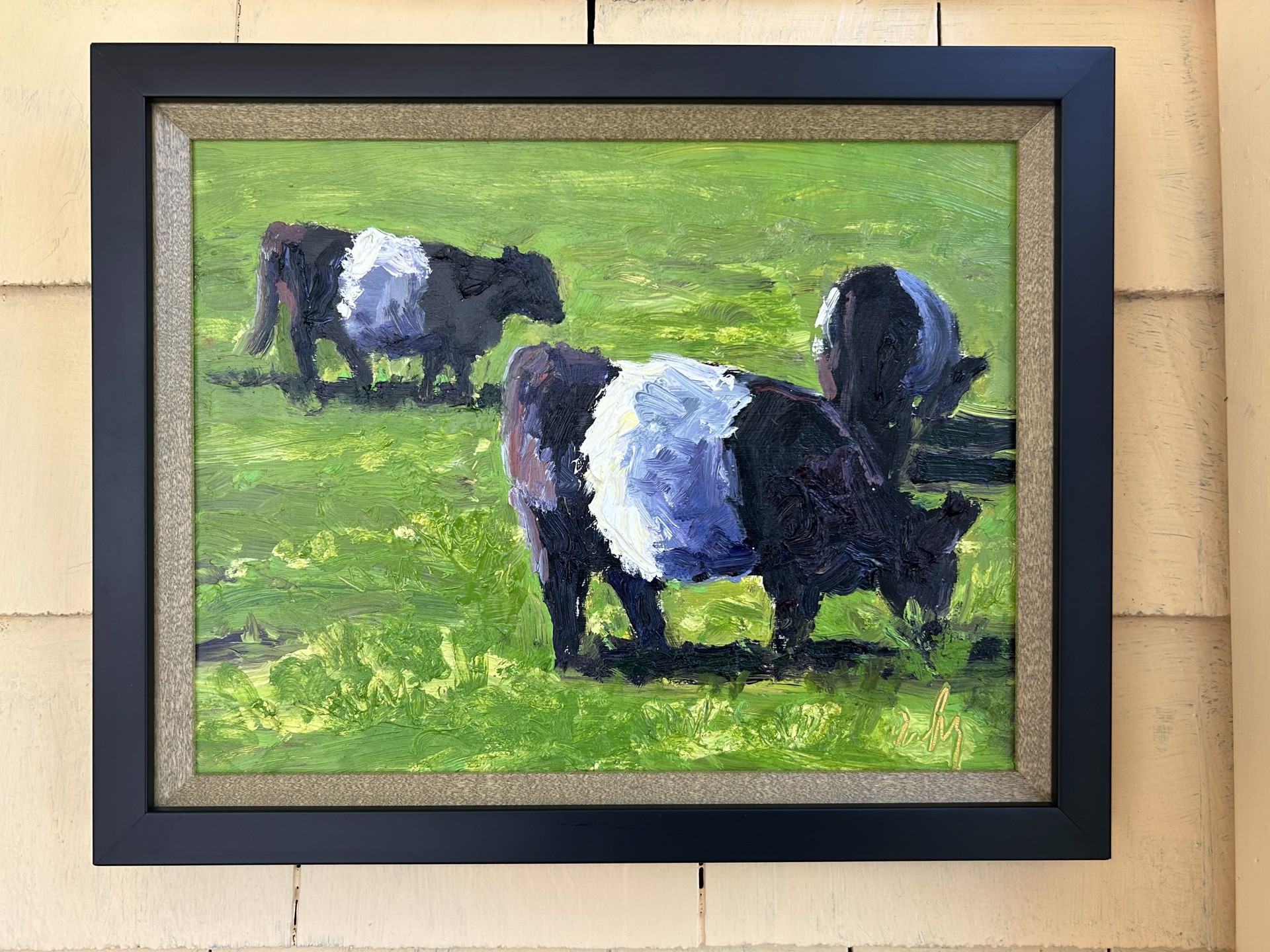 Three Belted Galloways by Dan Daly