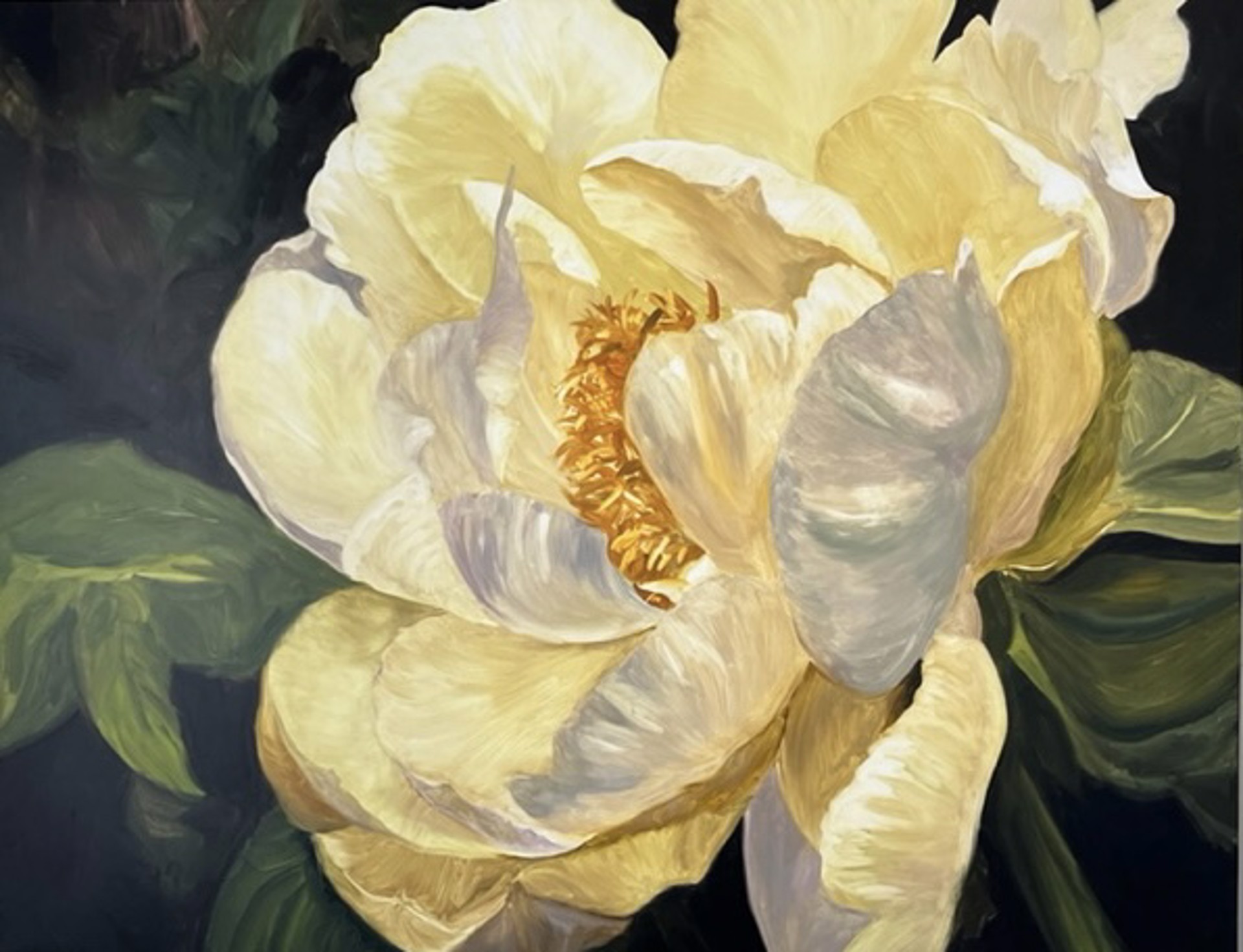 Peony, Mundan Series: 17 Imperial Flower Garden by Janice Mason Steeves