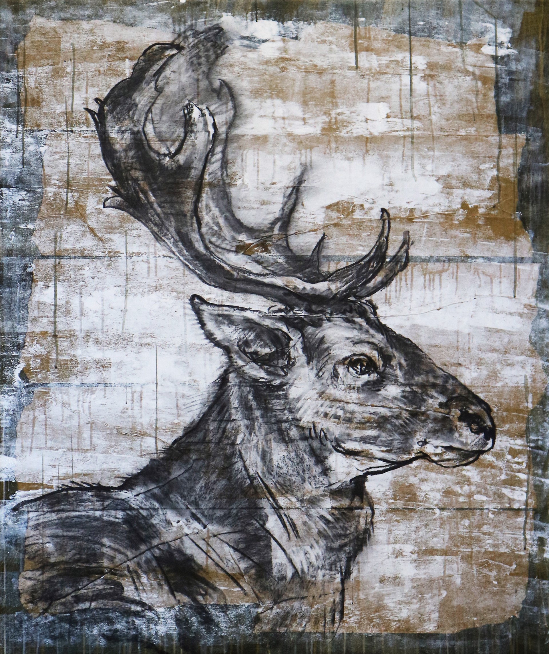Elk Portrait I by Allison Maye