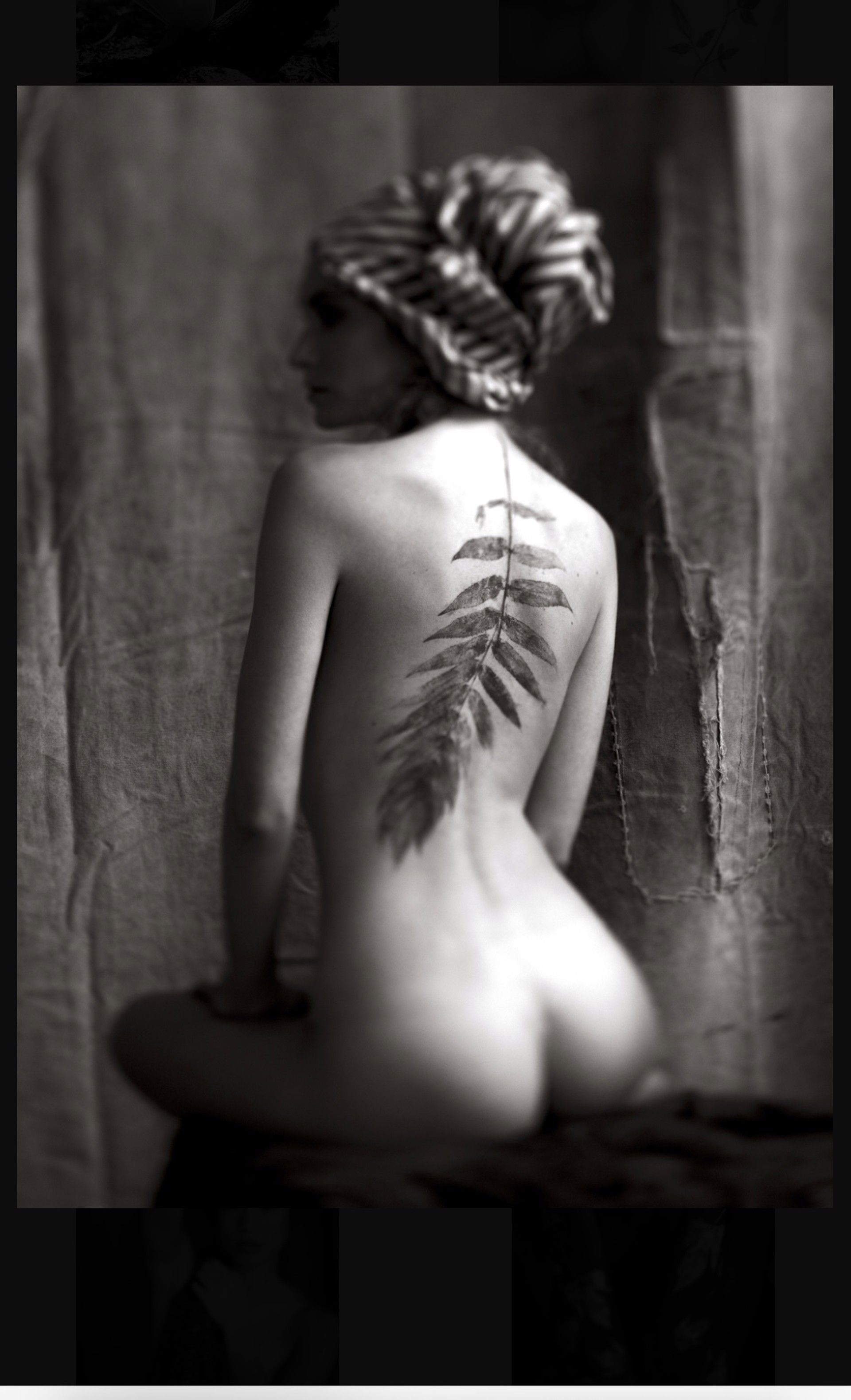 Botanical Nude , 2014   No.1 by Rob Brinson