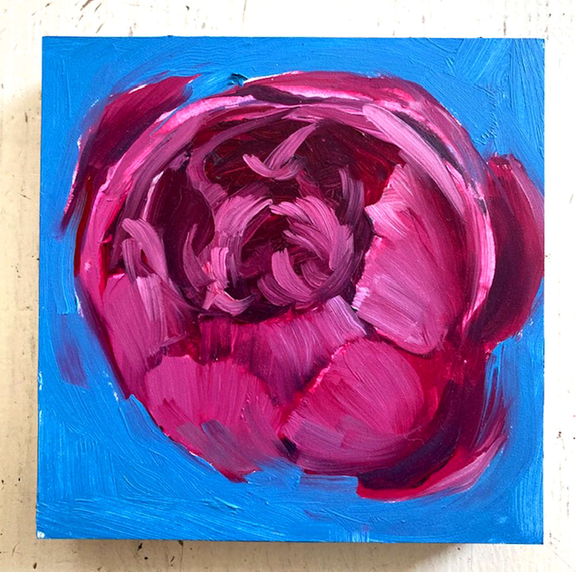 Peony Project #41 by Amy R. Peterson*