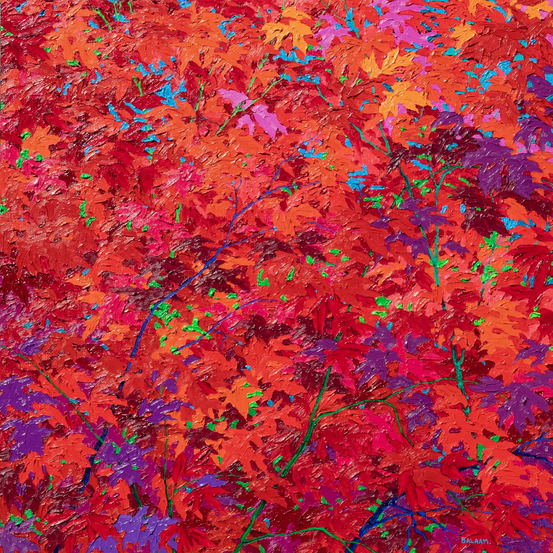 Immersed in Maples by Frank Balaam