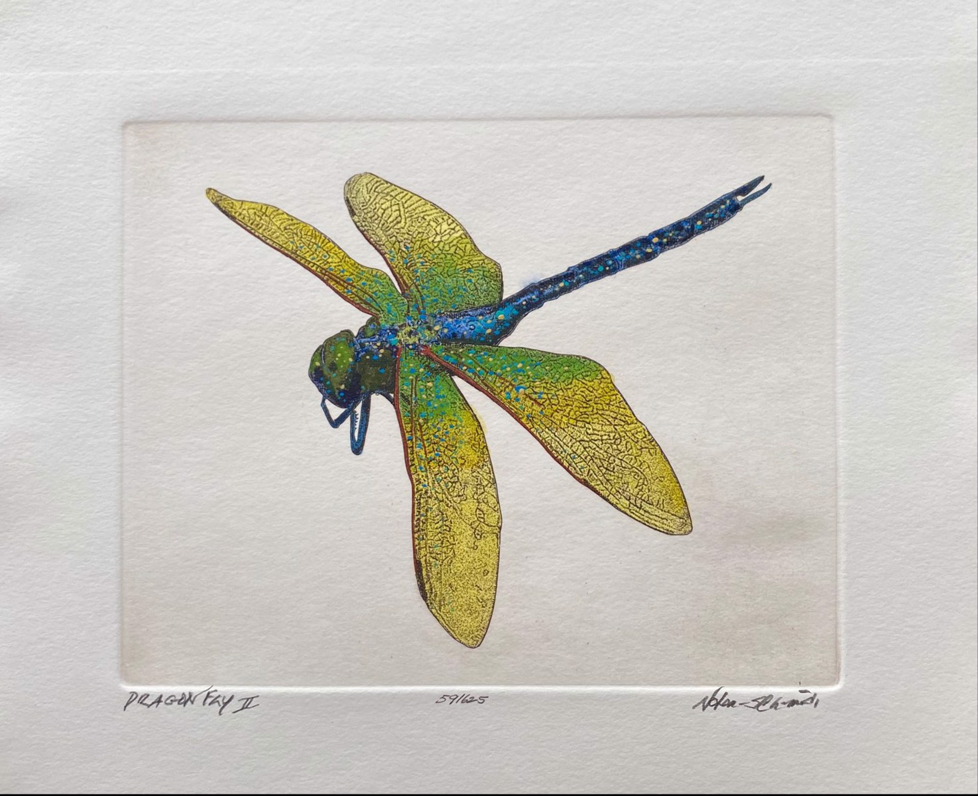 Dragonfly II 59/625 by William Nolen-Schmidt