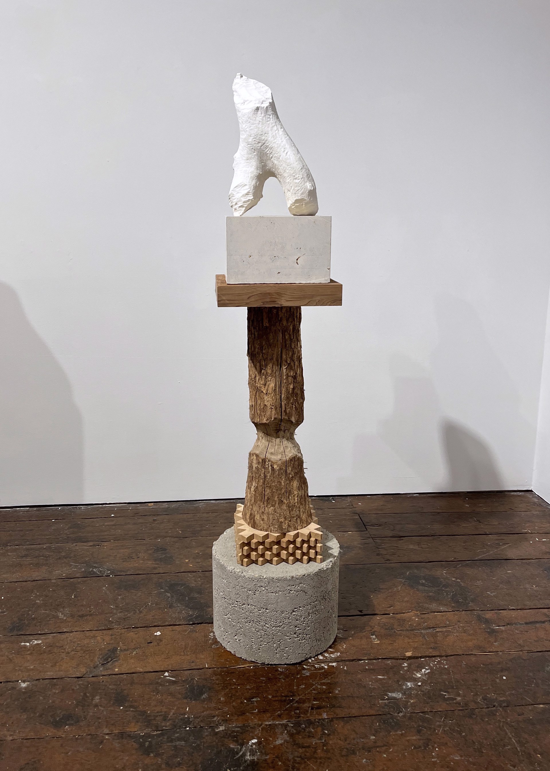 Plaster Torso by Tim O'Neill