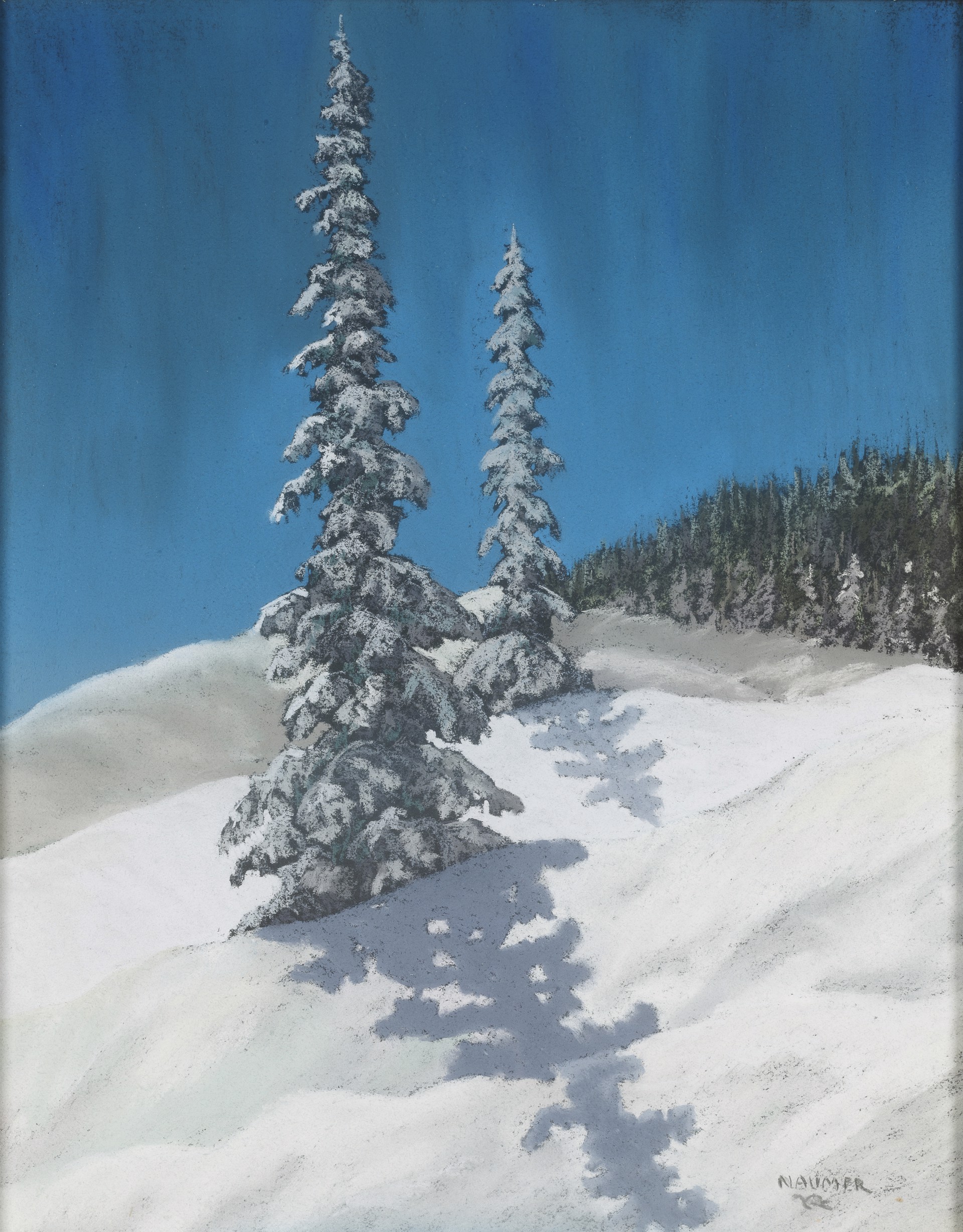 Pine Trees in Winter by Helmuth Naumer
