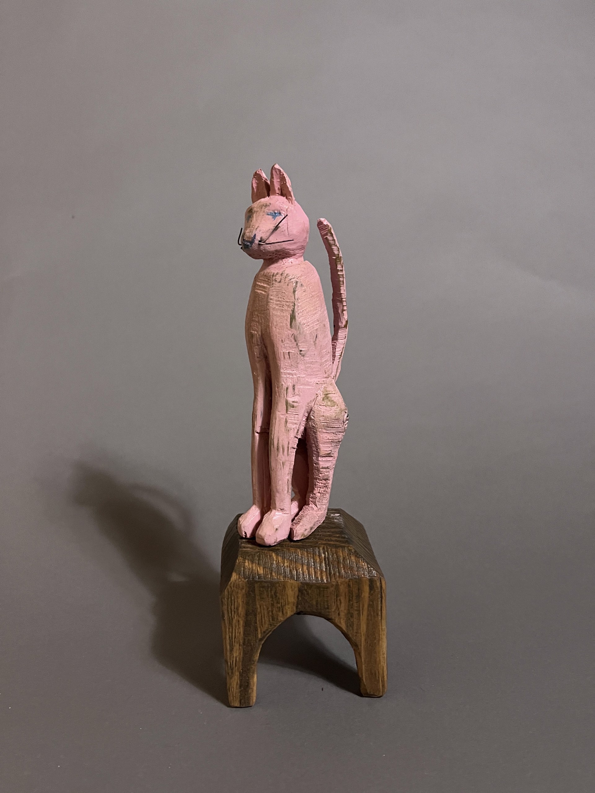 Martha's Pink Cat by Geoffrey Gorman