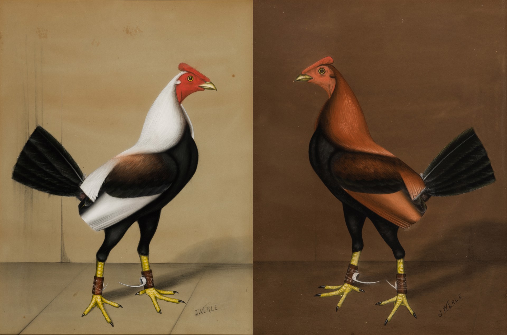 GAMECOCKS (a pair) by J. Werle