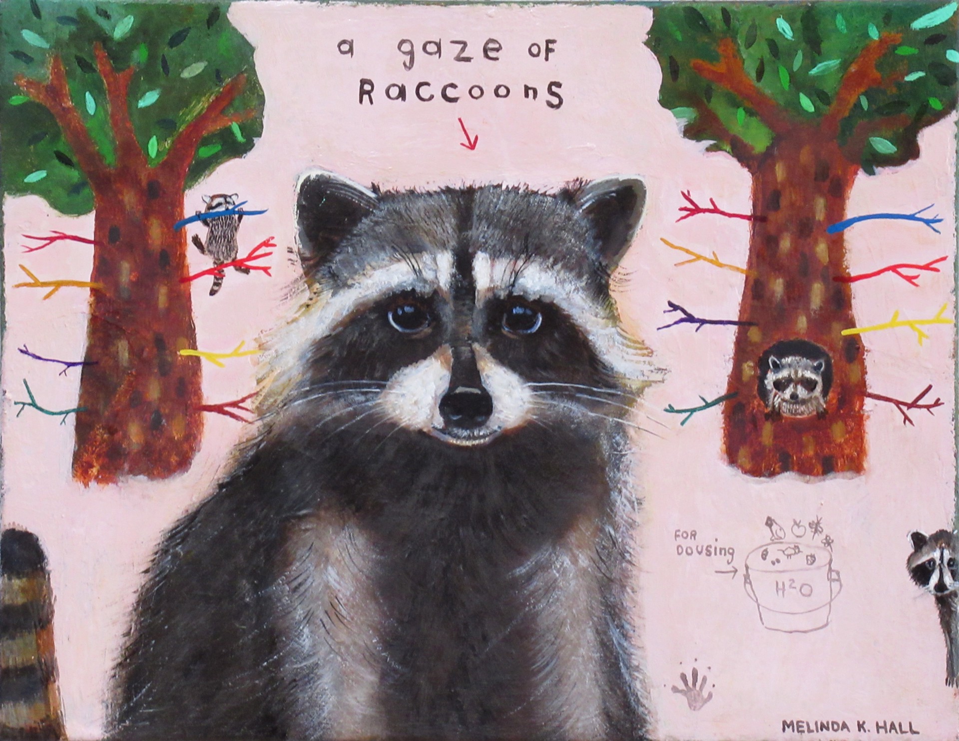 A Gaze of Raccoons by Melinda K. Hall